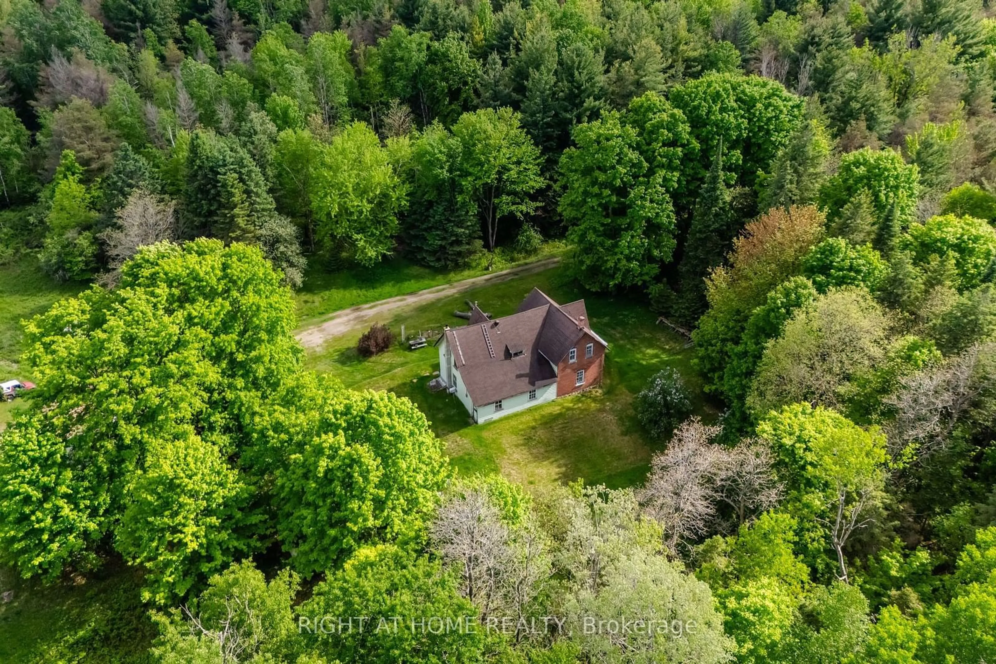 A pic from outside/outdoor area/front of a property/back of a property/a pic from drone, forest/trees view for 8137 4TH Line, Essa Ontario L3W 0S5