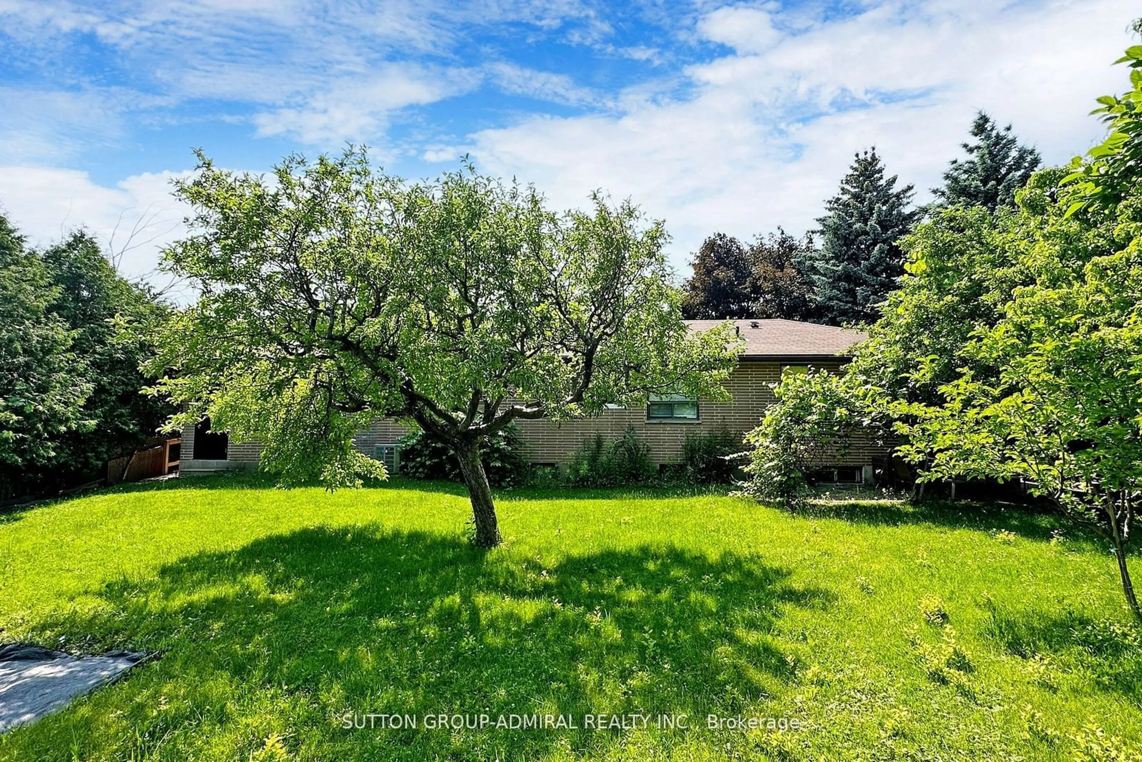 A pic from outside/outdoor area/front of a property/back of a property/a pic from drone, forest/trees view for 27 Vaughan Blvd, Vaughan Ontario L4J 3N8