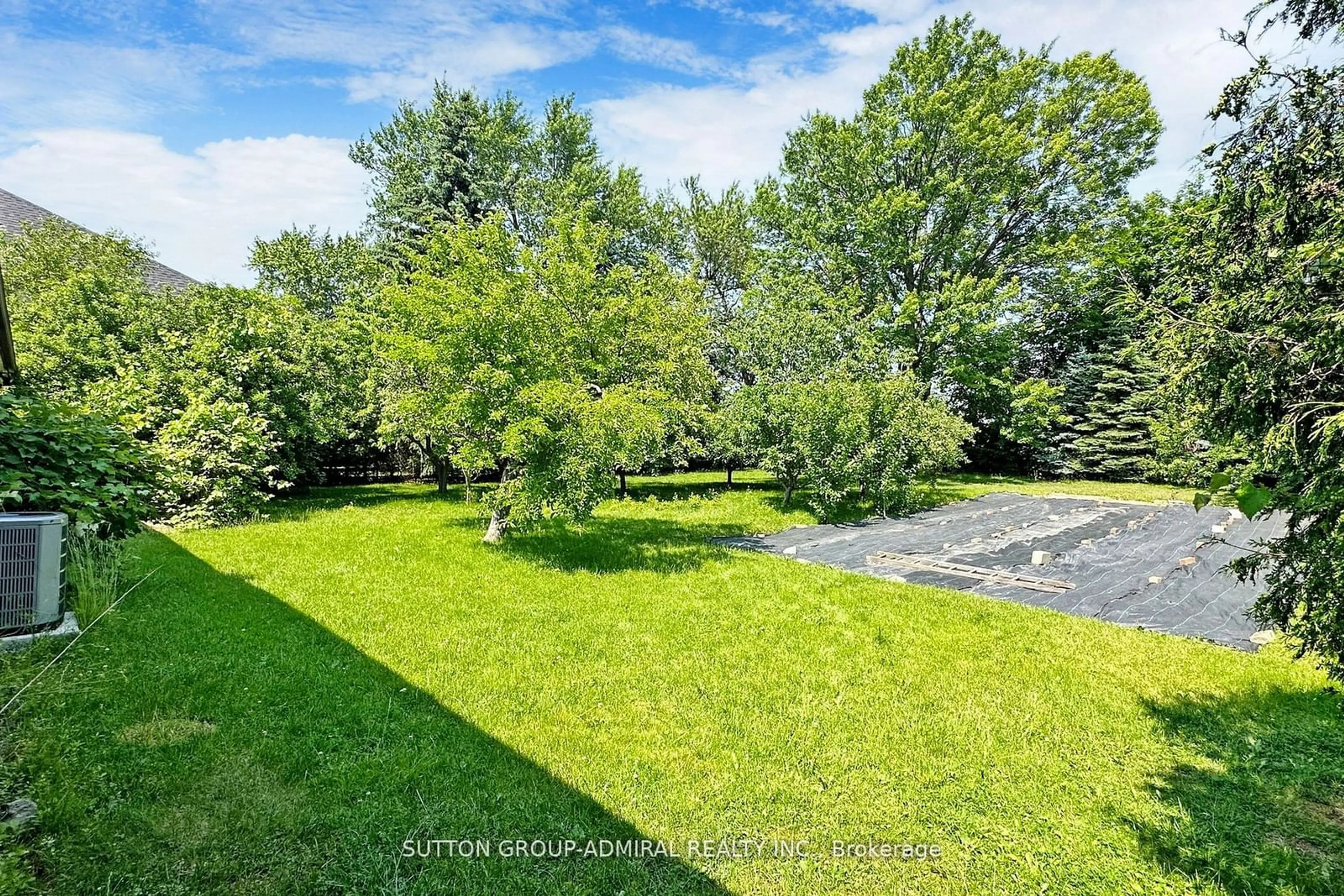 A pic from outside/outdoor area/front of a property/back of a property/a pic from drone, forest/trees view for 27 Vaughan Blvd, Vaughan Ontario L4J 3N8