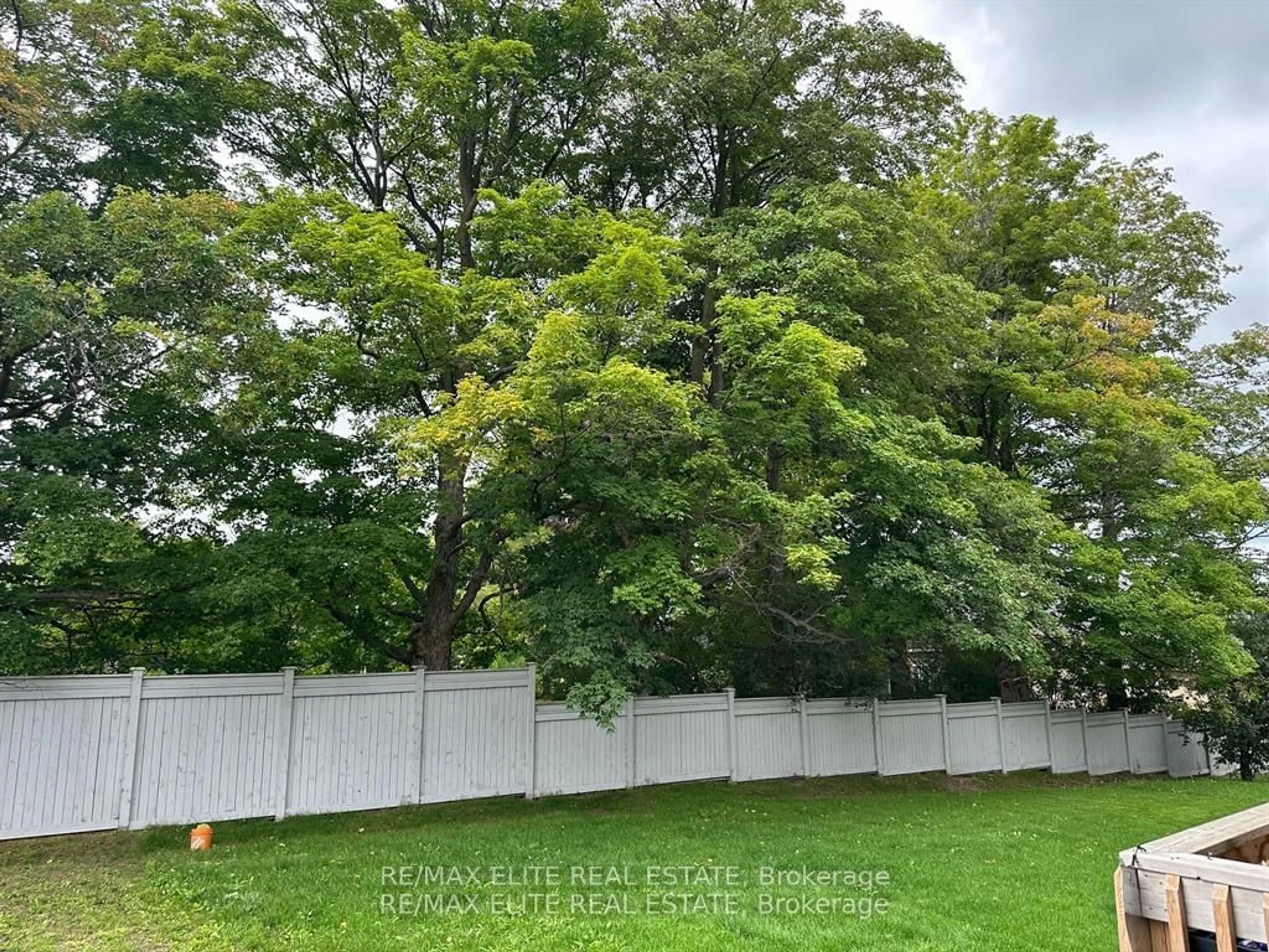 A pic from outside/outdoor area/front of a property/back of a property/a pic from drone, forest/trees view for 96 Drizzel Cres, Richmond Hill Ontario L4E 2Z1