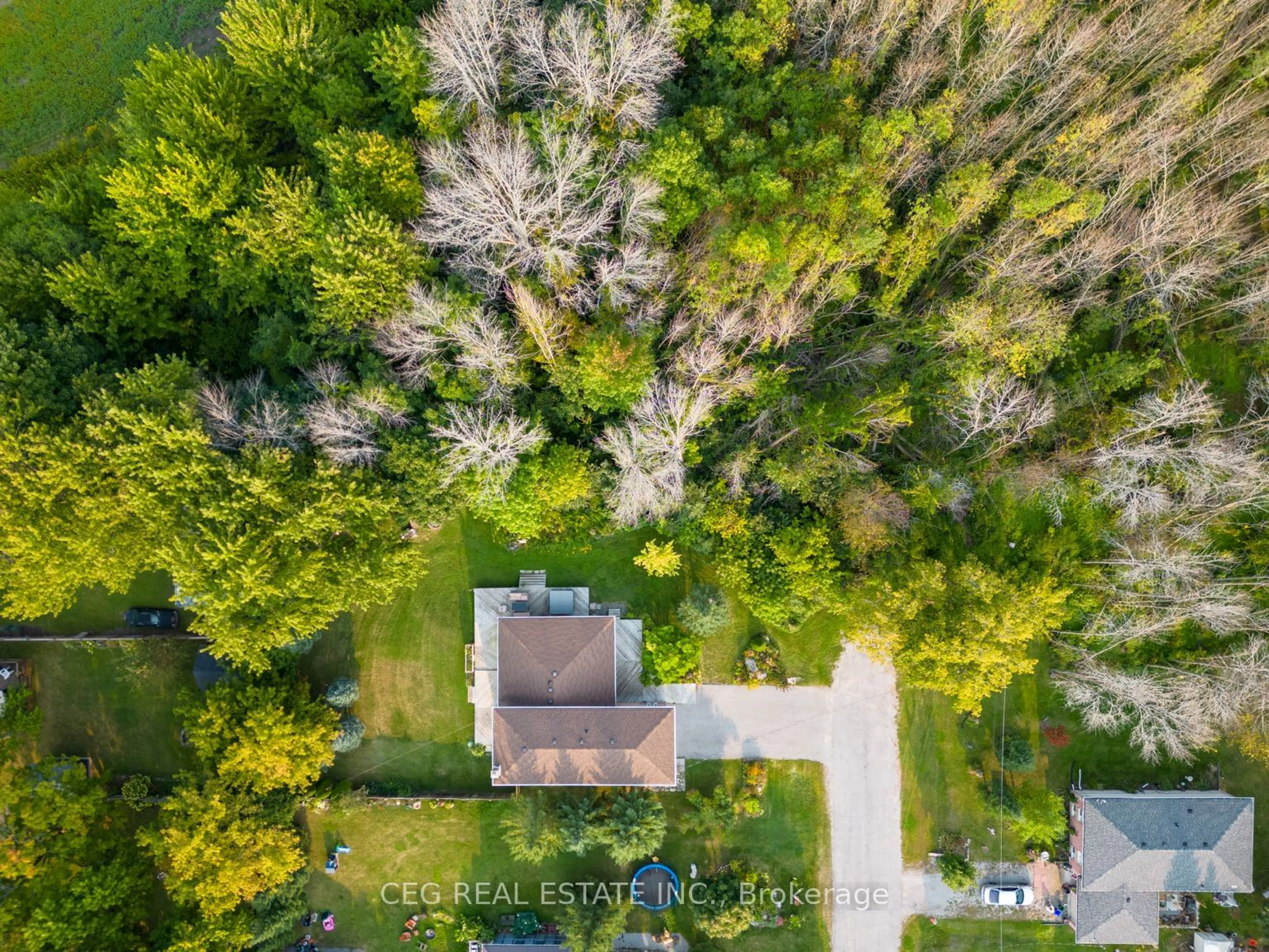 A pic from outside/outdoor area/front of a property/back of a property/a pic from drone, forest/trees view for 14 Mellon Ave, Georgina Ontario L0E 1N0