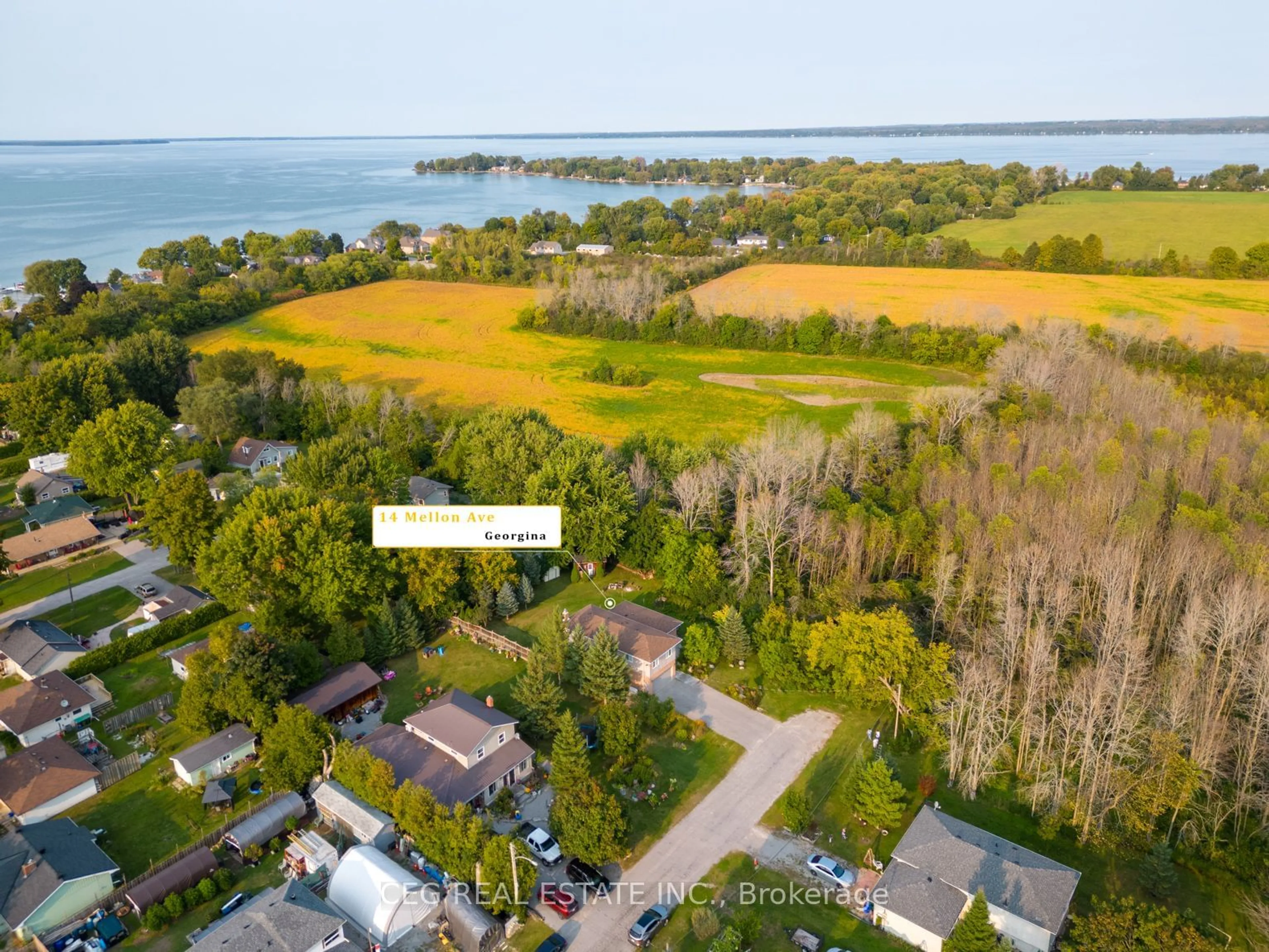 A pic from outside/outdoor area/front of a property/back of a property/a pic from drone, water/lake/river/ocean view for 14 Mellon Ave, Georgina Ontario L0E 1N0