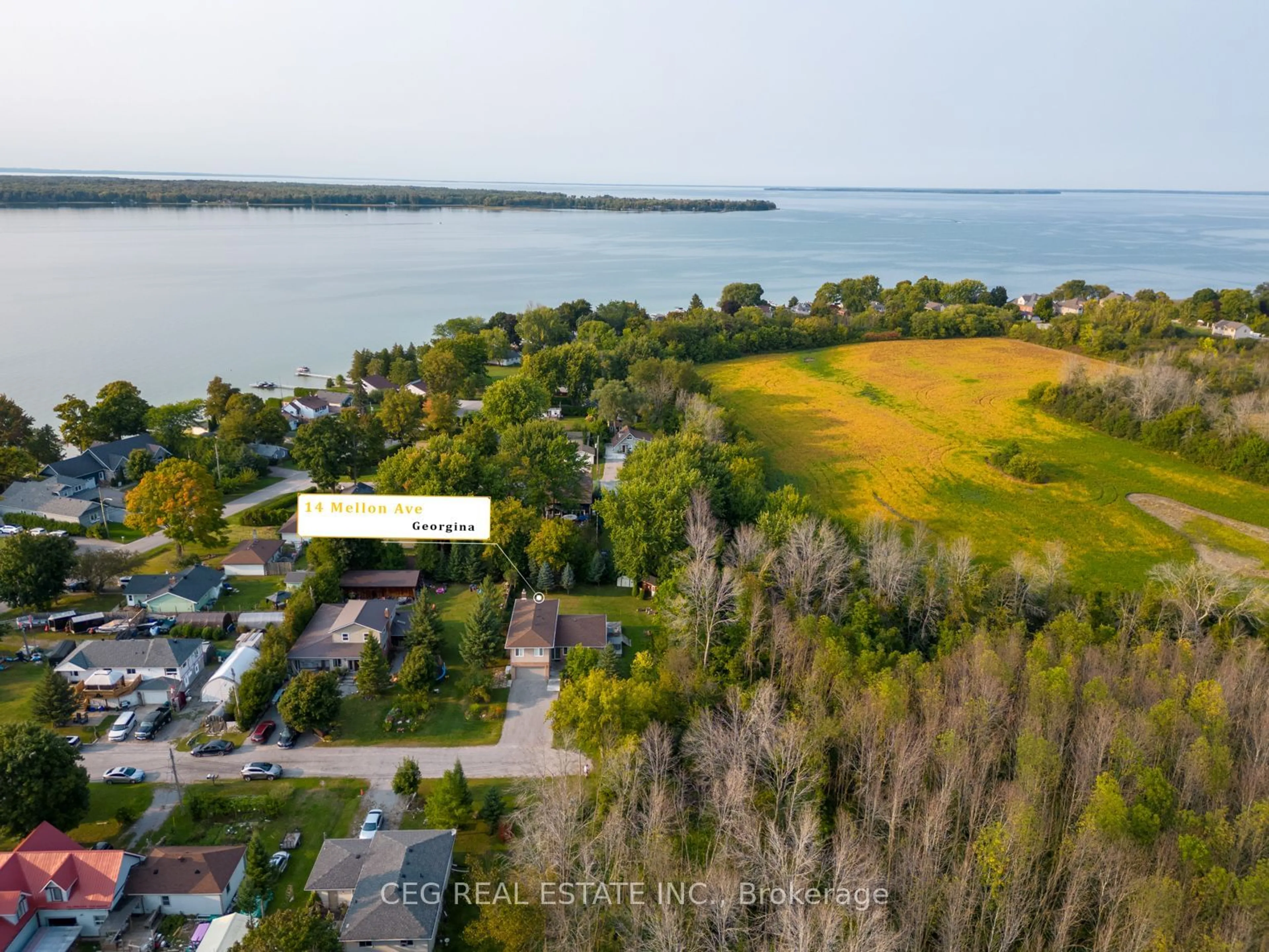 A pic from outside/outdoor area/front of a property/back of a property/a pic from drone, water/lake/river/ocean view for 14 Mellon Ave, Georgina Ontario L0E 1N0