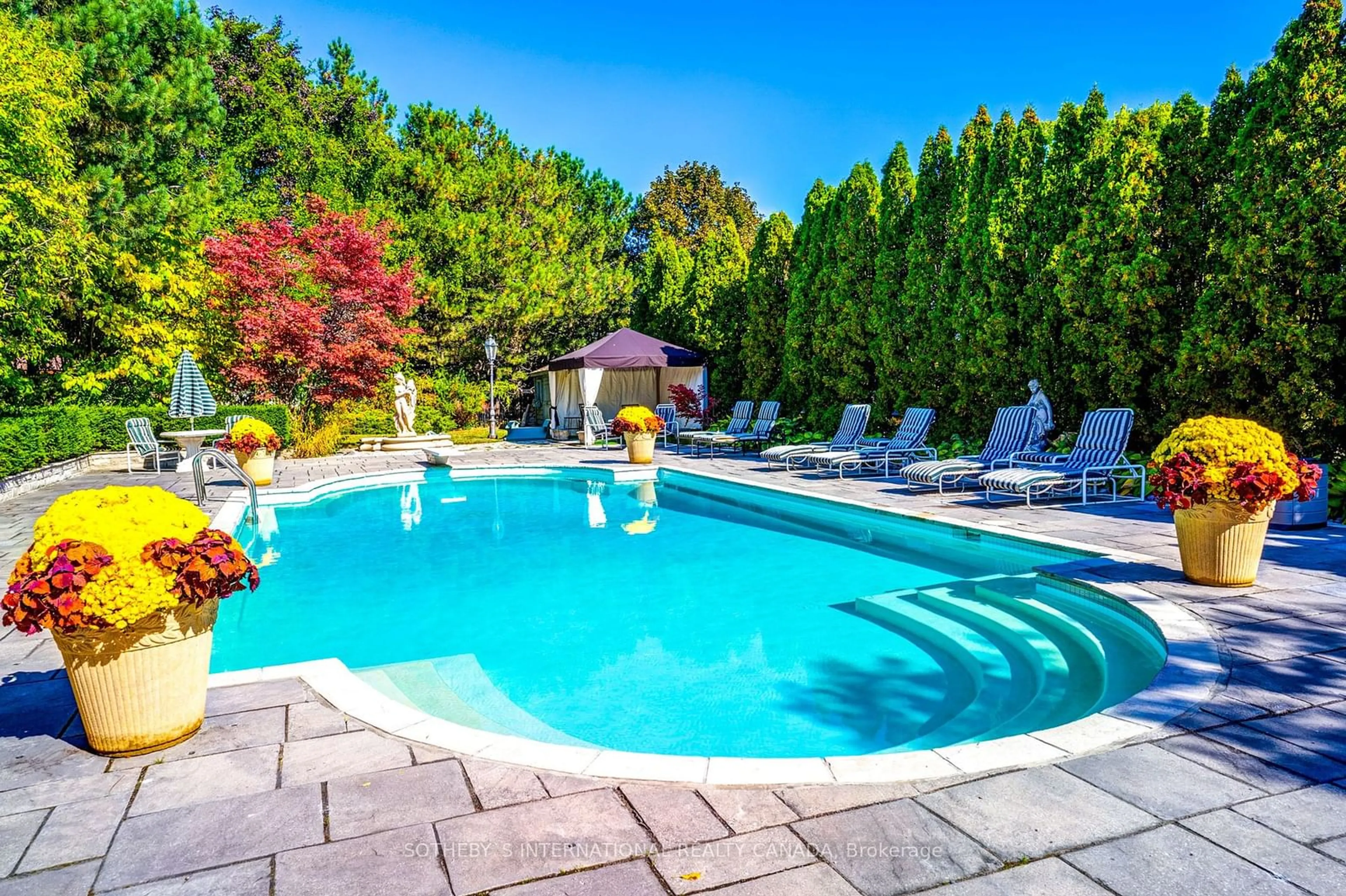 Pool for 48 Old Park Lane, Richmond Hill Ontario L4B 2L3