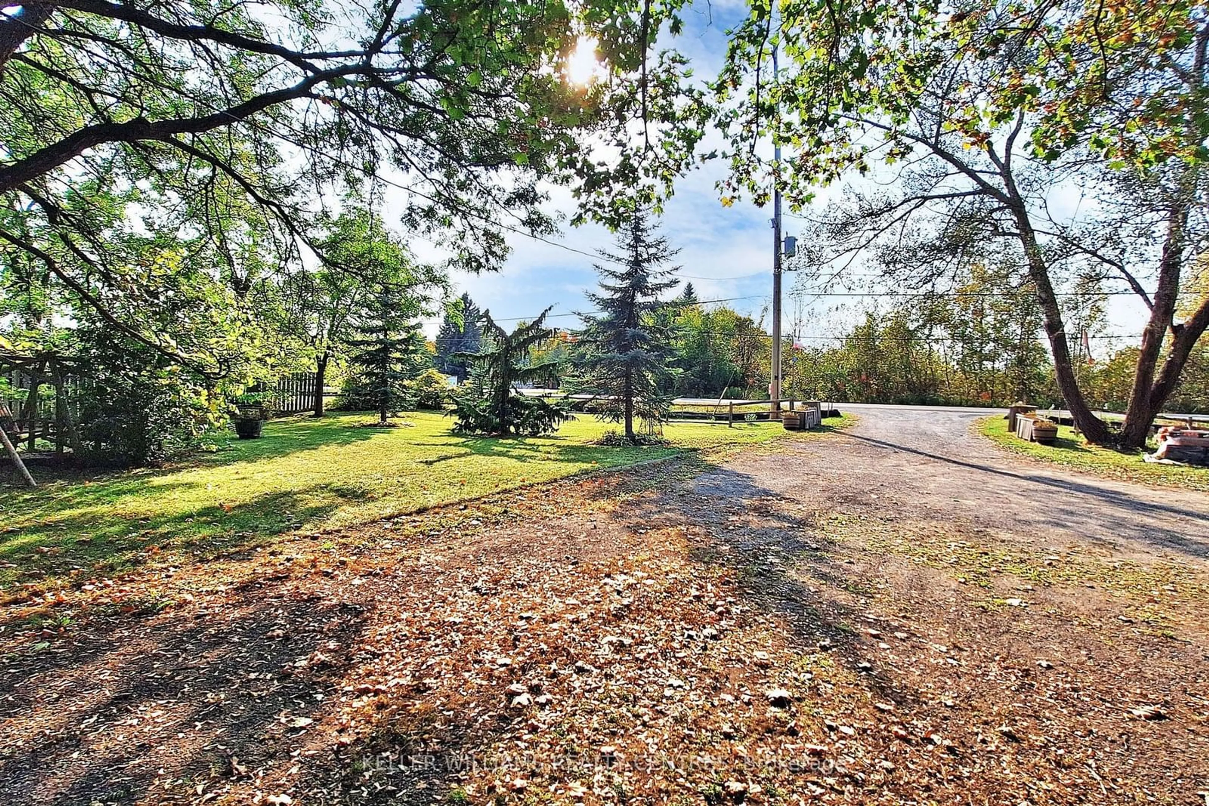 Patio, forest/trees view for 25985 Woodbine Ave, Georgina Ontario L4P 3E9