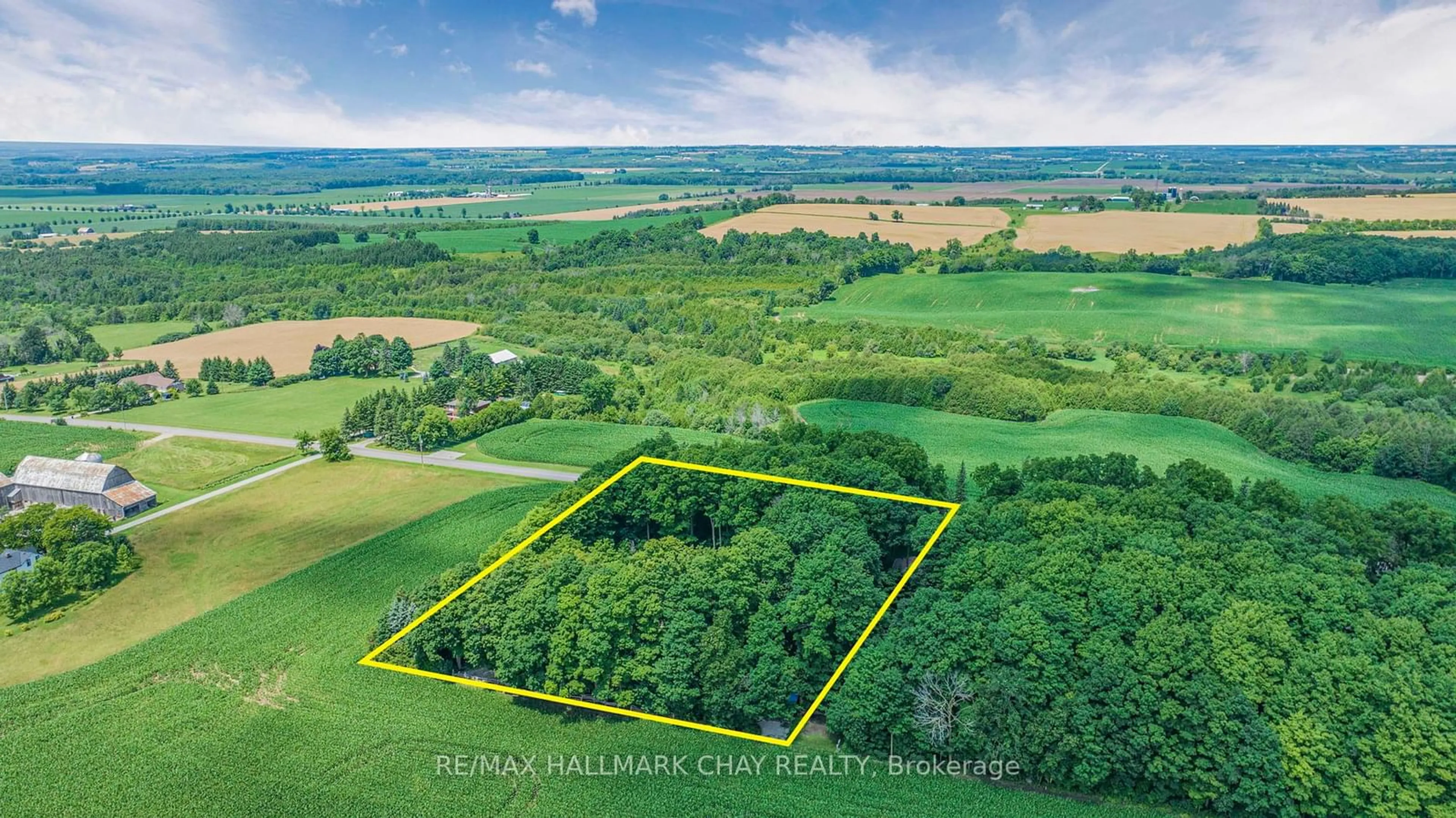 A pic from outside/outdoor area/front of a property/back of a property/a pic from drone, forest/trees view for 4507 10th Line, Bradford West Gwillimbury Ontario L0G 1A0