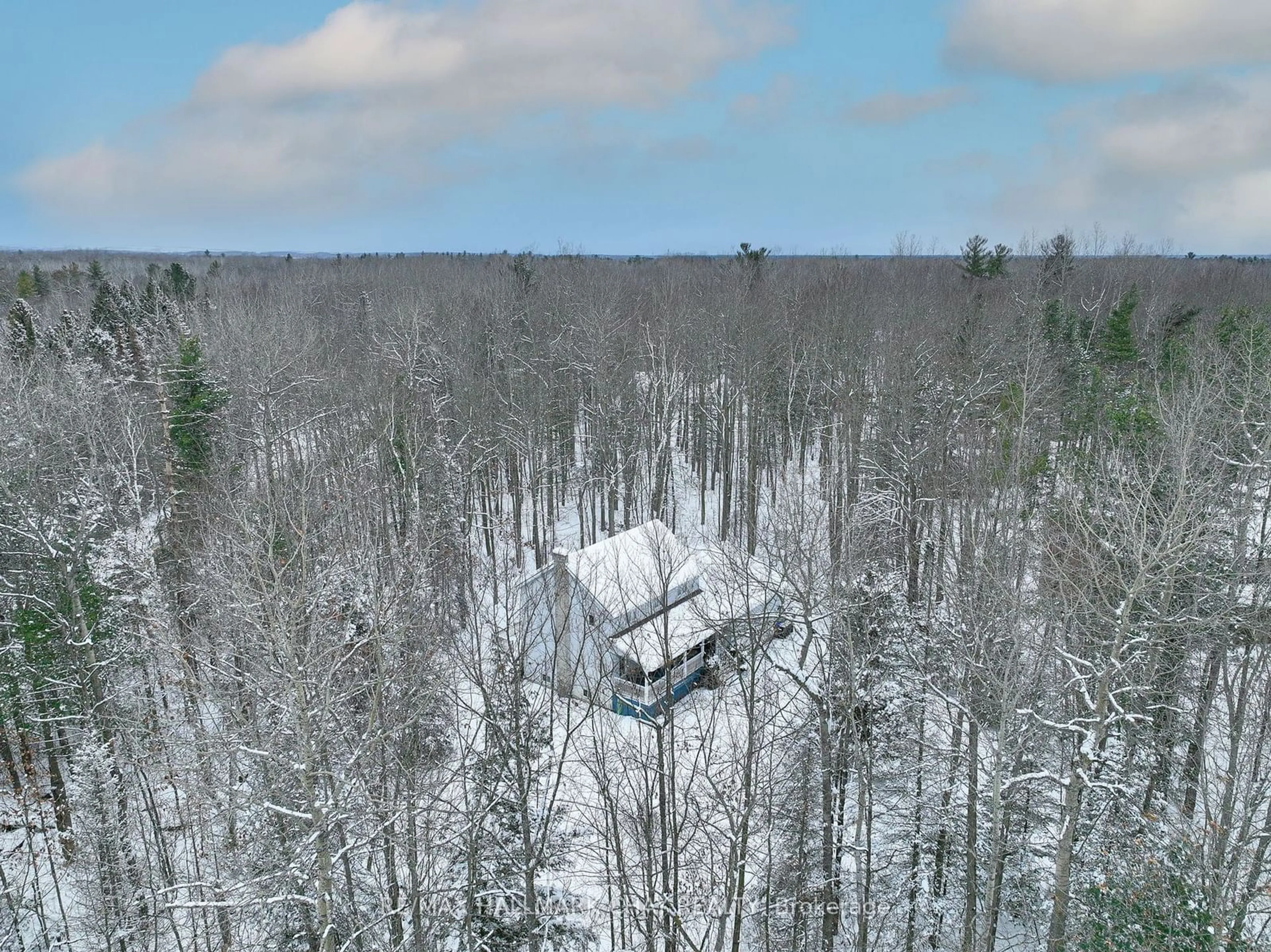 A pic from outside/outdoor area/front of a property/back of a property/a pic from drone, forest/trees view for 2 Trillium Tr, Adjala-Tosorontio Ontario L0M 1J0