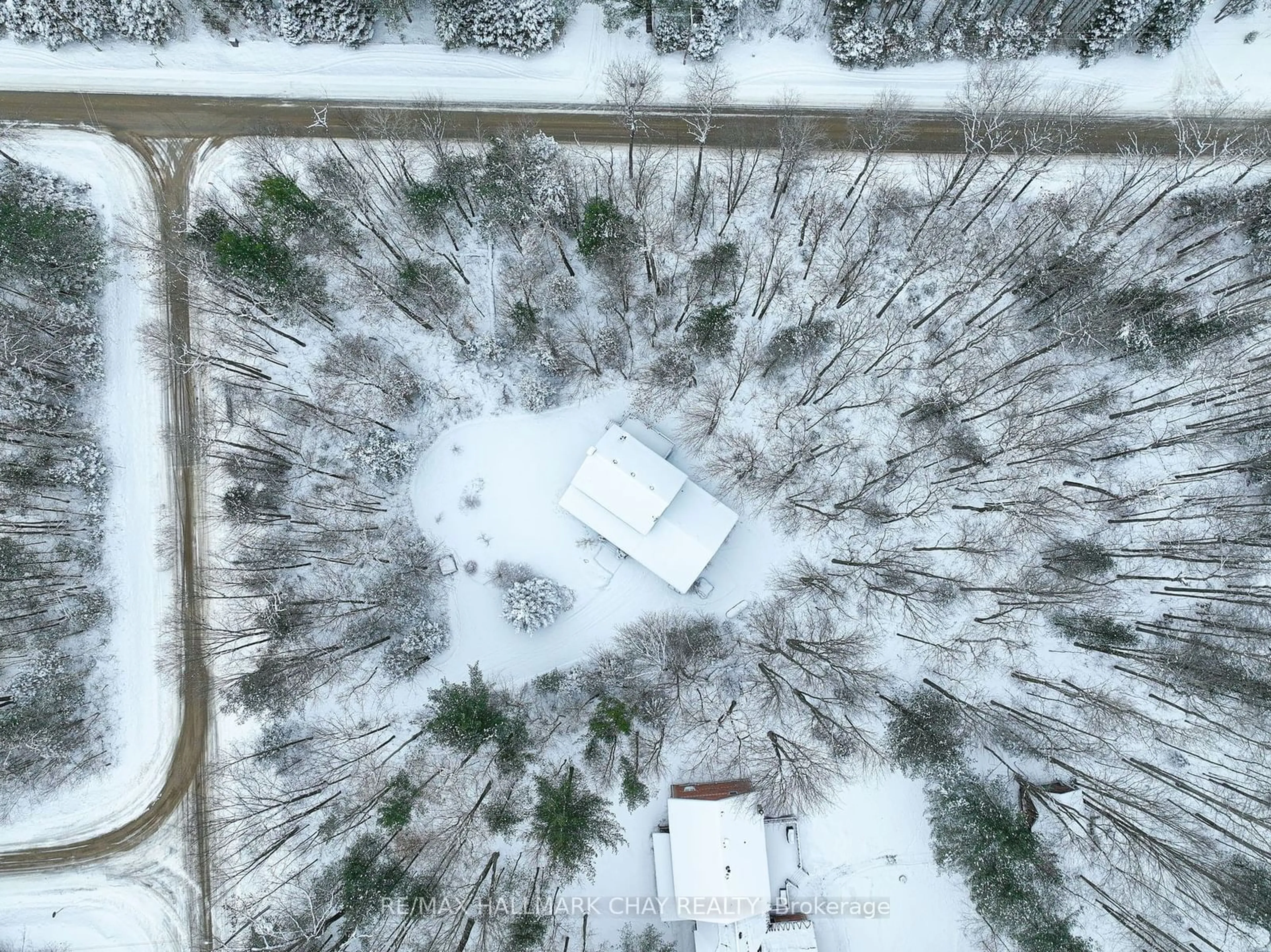 A pic from outside/outdoor area/front of a property/back of a property/a pic from drone, forest/trees view for 2 Trillium Tr, Adjala-Tosorontio Ontario L0M 1J0