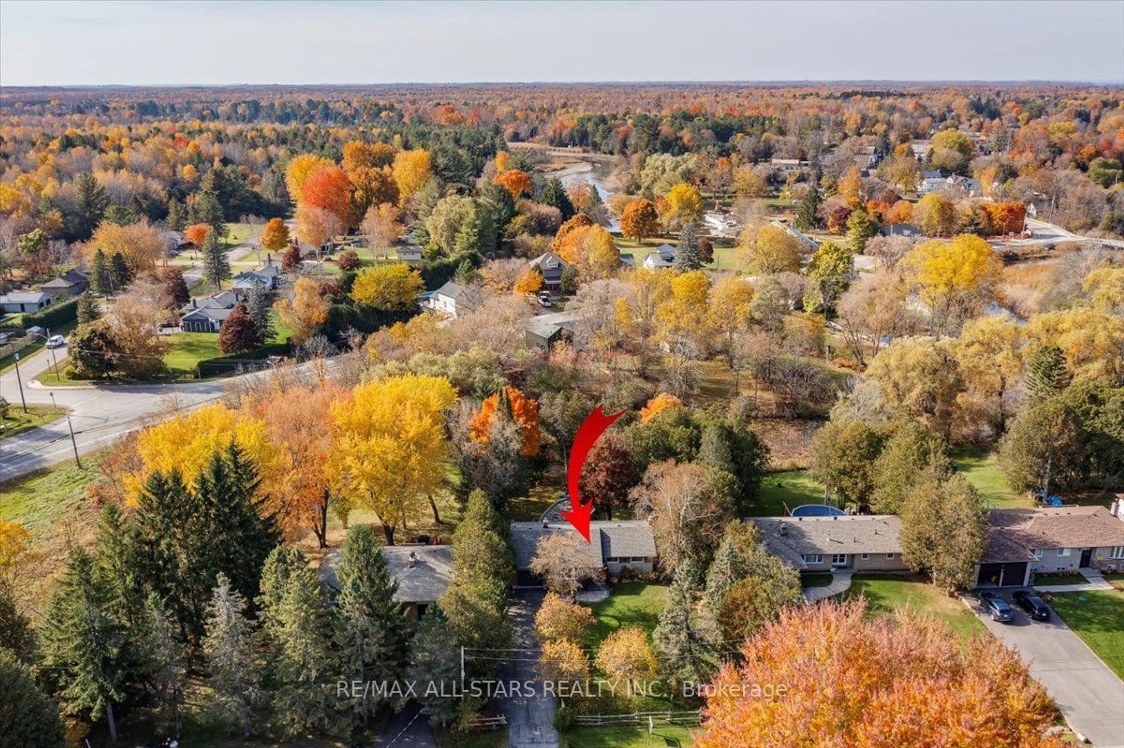 A pic from outside/outdoor area/front of a property/back of a property/a pic from drone, forest/trees view for 20 James St, Georgina Ontario L0E 1N0