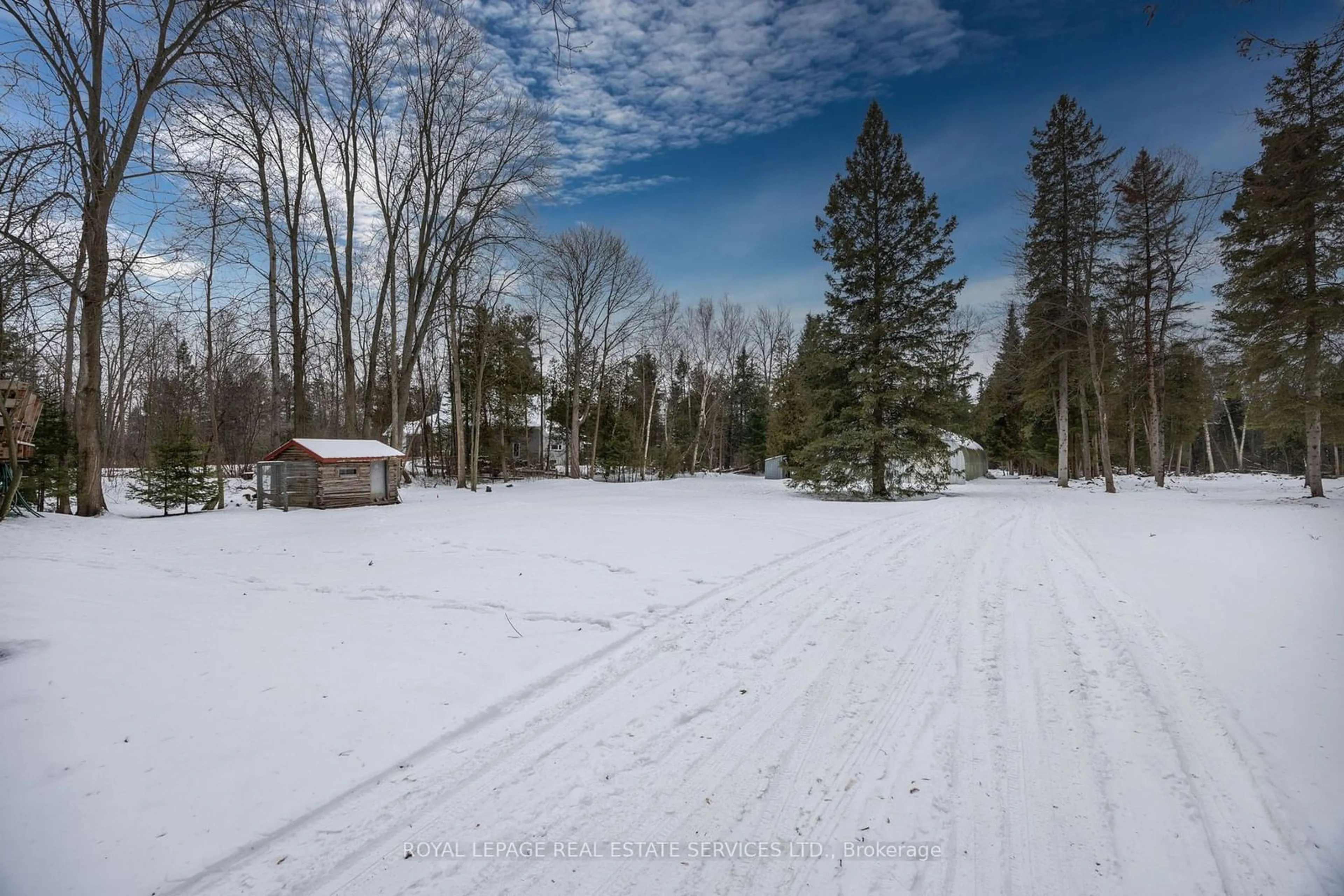 A pic from outside/outdoor area/front of a property/back of a property/a pic from drone, forest/trees view for 20430 Bathurst St, East Gwillimbury Ontario L9N 1P5