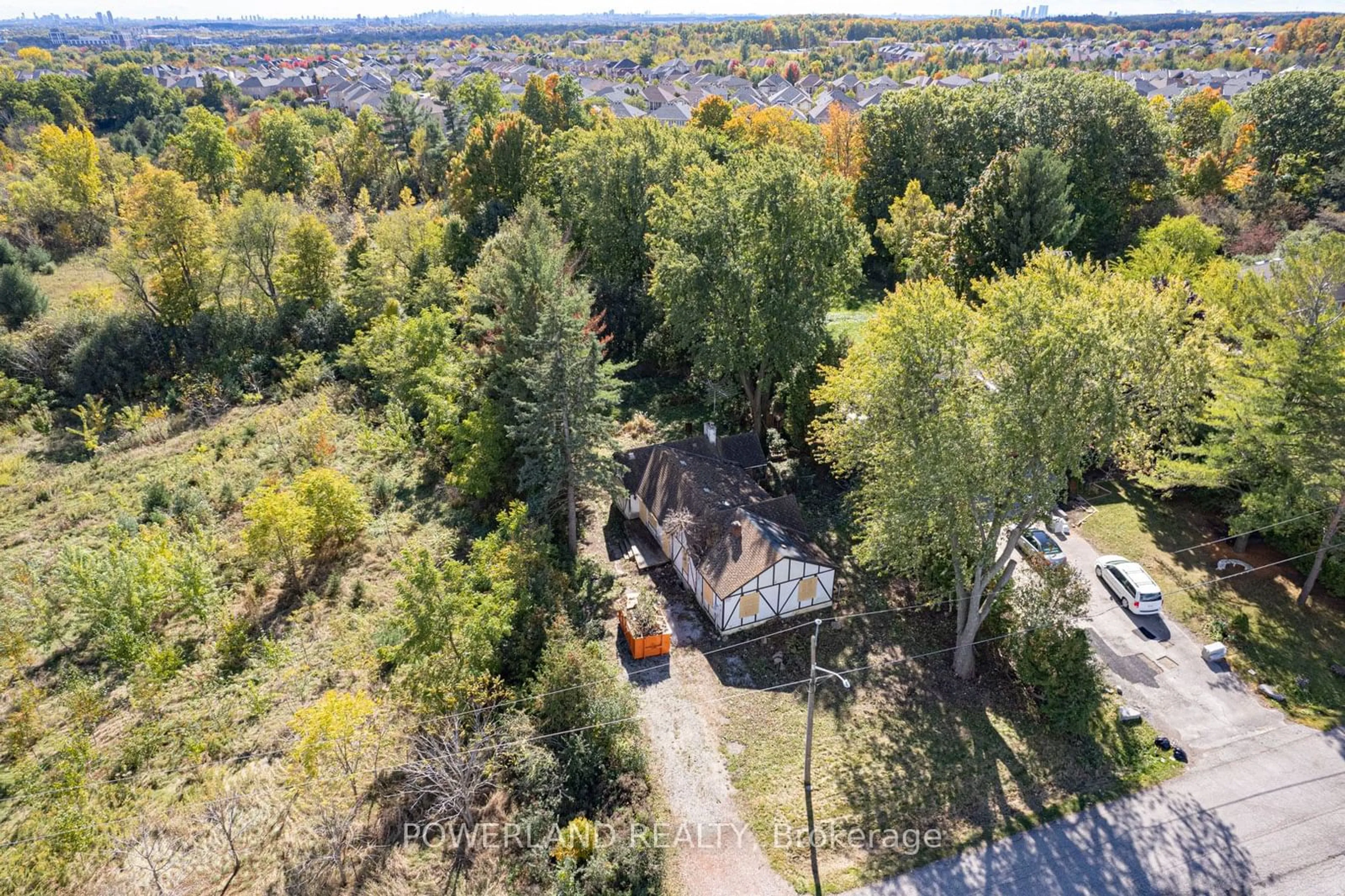 A pic from outside/outdoor area/front of a property/back of a property/a pic from drone, forest/trees view for 209 Harris Ave, Richmond Hill Ontario L4E 3M3