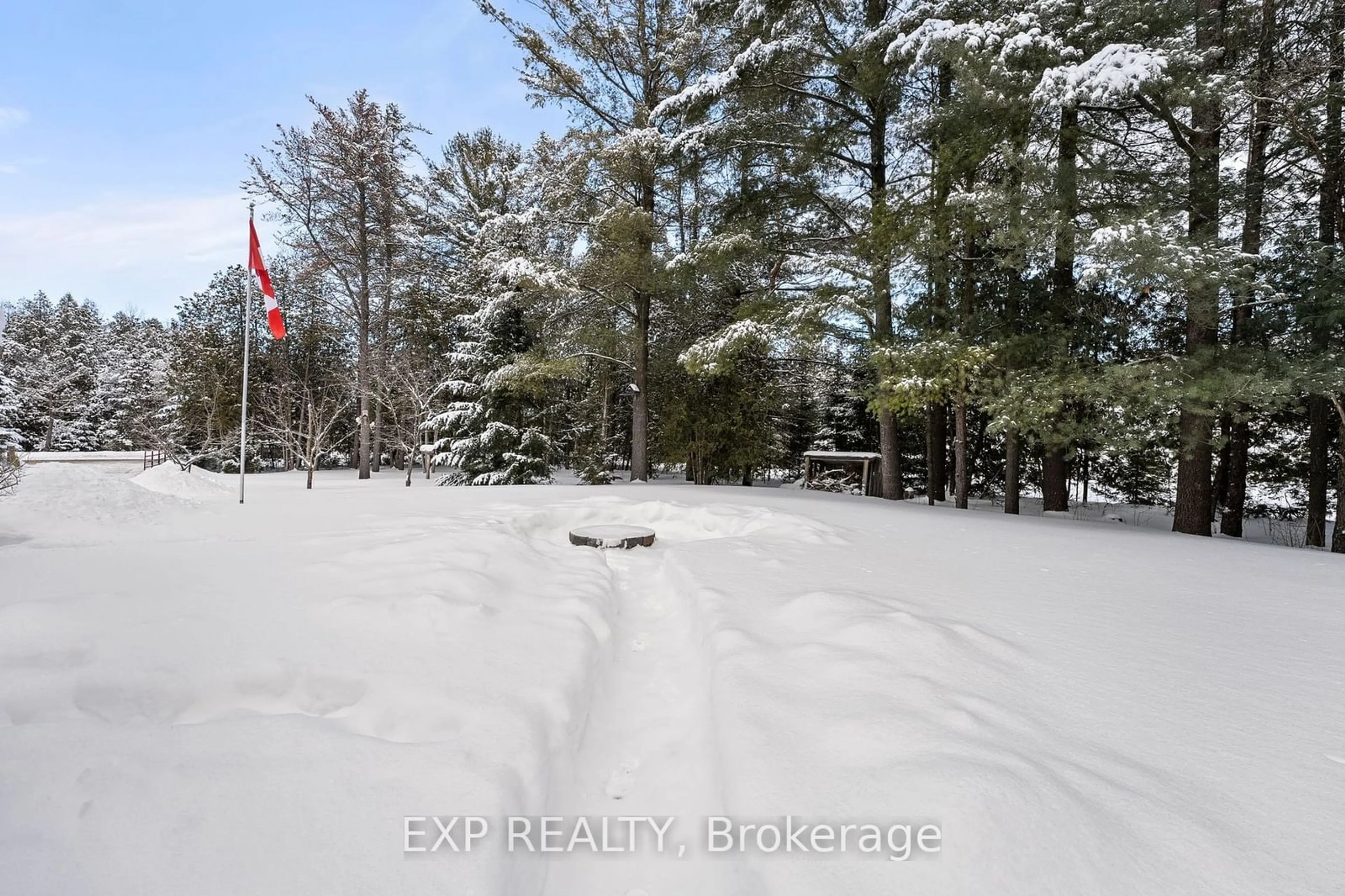 A pic from outside/outdoor area/front of a property/back of a property/a pic from drone, forest/trees view for 9689 Old Shiloh Rd, Georgina Ontario L0E 1N0