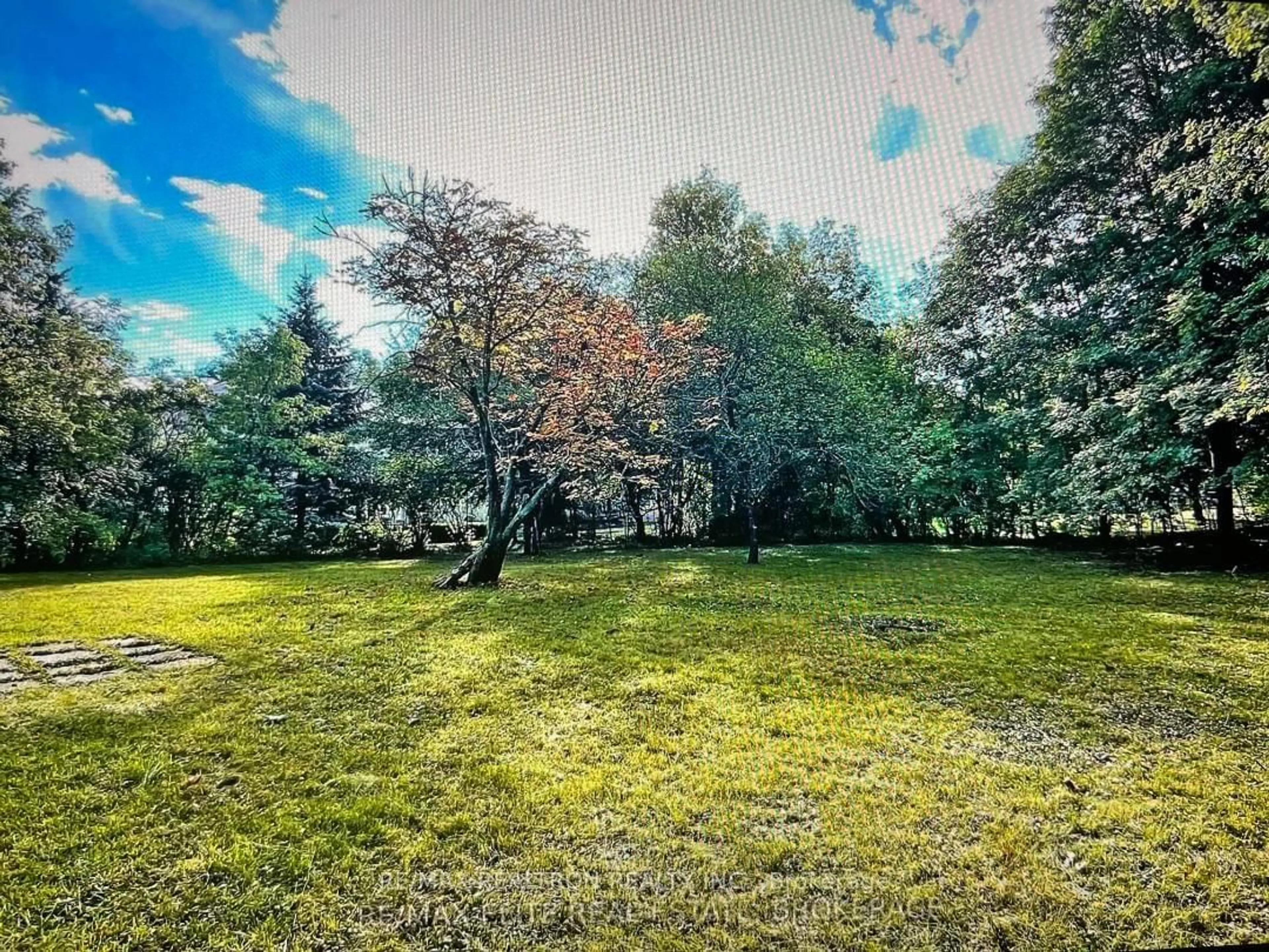 A pic from outside/outdoor area/front of a property/back of a property/a pic from drone, forest/trees view for 541 Sunset Beach Rd, Richmond Hill Ontario L4E 3J8