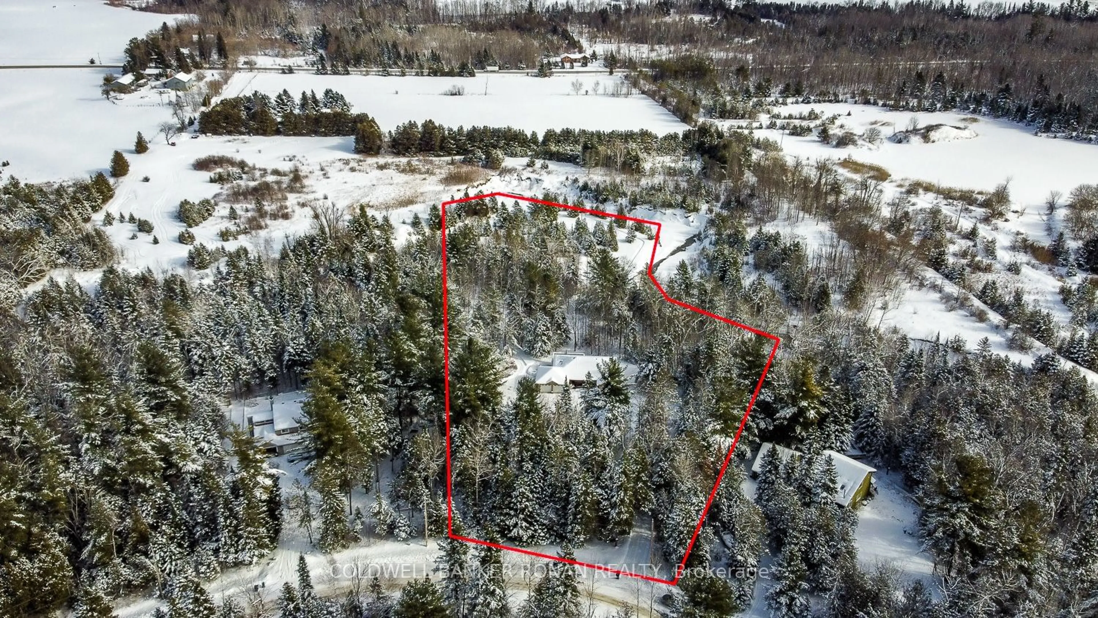 A pic from outside/outdoor area/front of a property/back of a property/a pic from drone, forest/trees view for 32 Foresthill Dr, Adjala-Tosorontio Ontario L0M 1J0