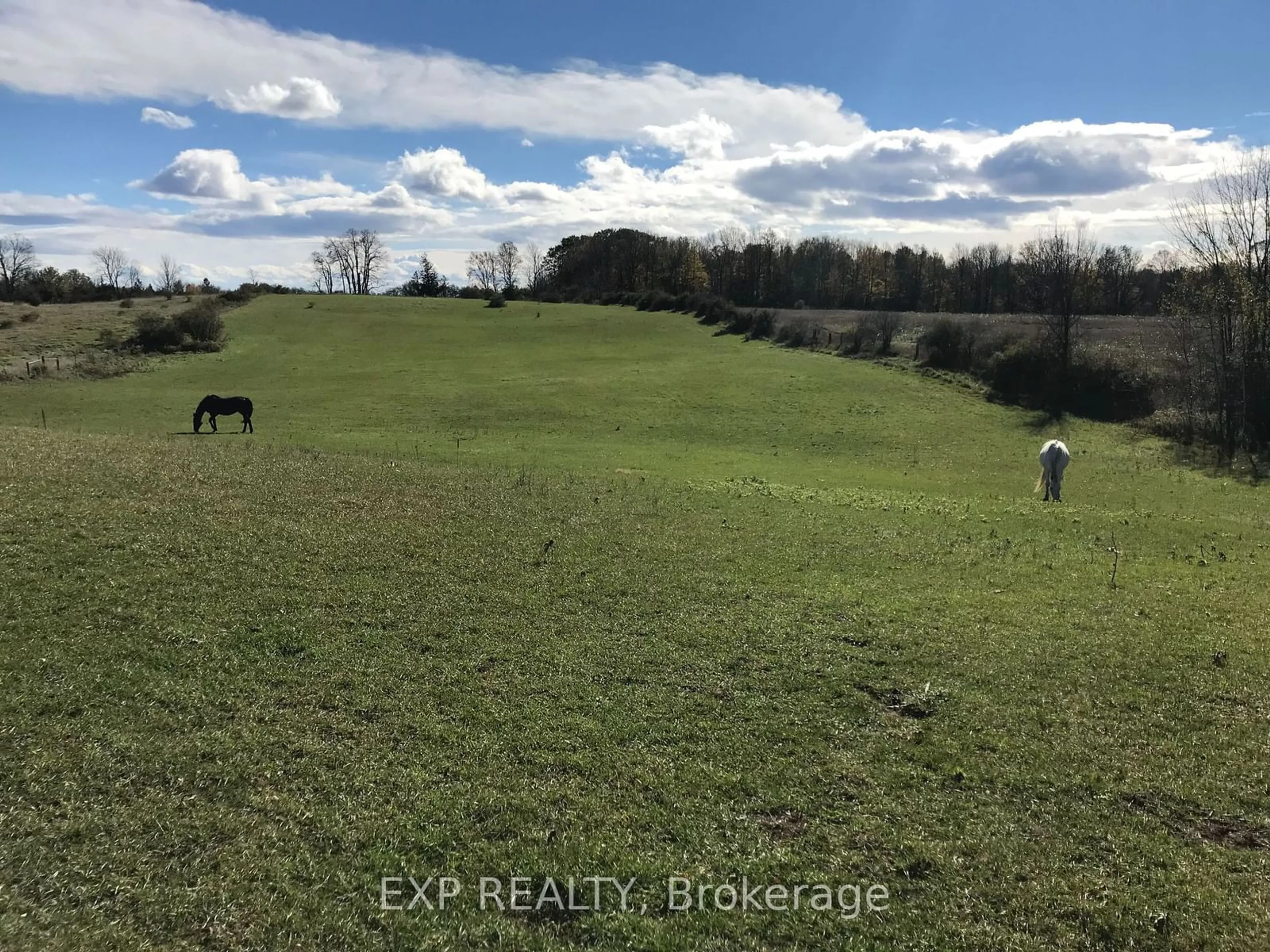 A pic from outside/outdoor area/front of a property/back of a property/a pic from drone, water/lake/river/ocean view for 1742 Cameron St, Brock Ontario L0E 1E0