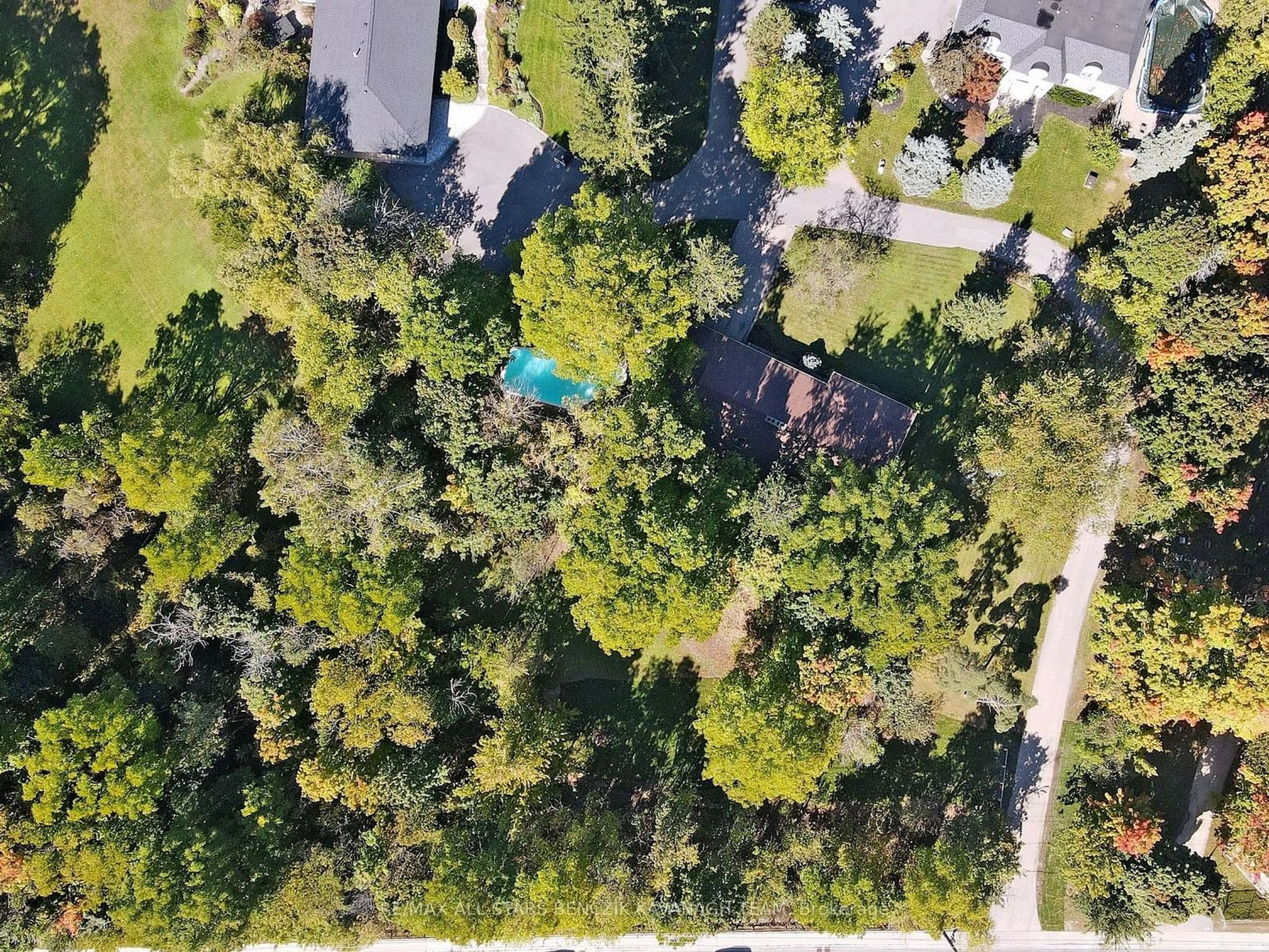 A pic from outside/outdoor area/front of a property/back of a property/a pic from drone, forest/trees view for 2 Savannah Cres, Markham Ontario L3P 2V1