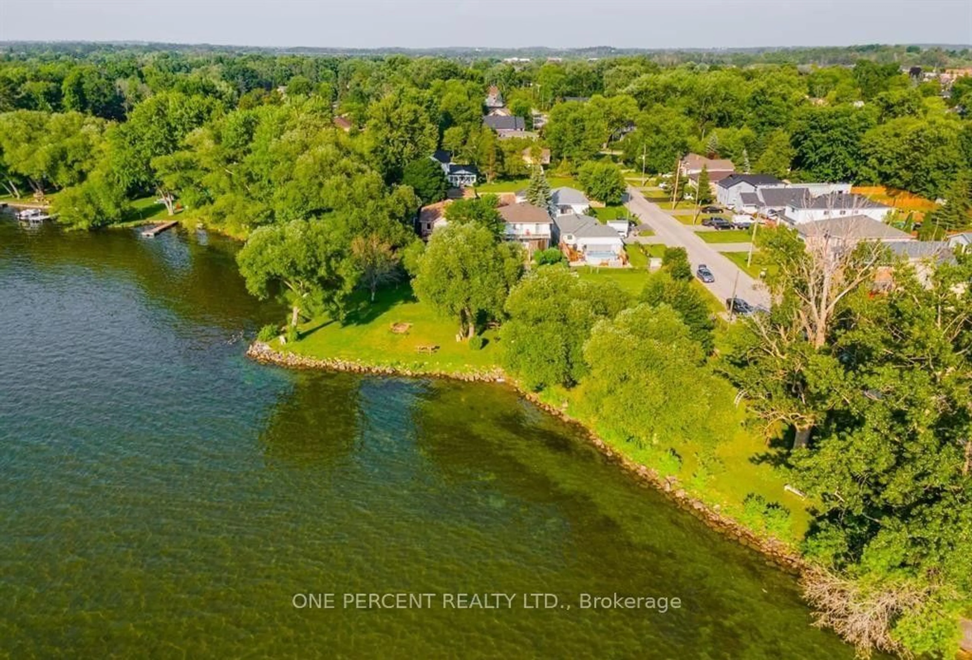 A pic from outside/outdoor area/front of a property/back of a property/a pic from drone, water/lake/river/ocean view for 208 Bayview Ave, Georgina Ontario L4P 2T2