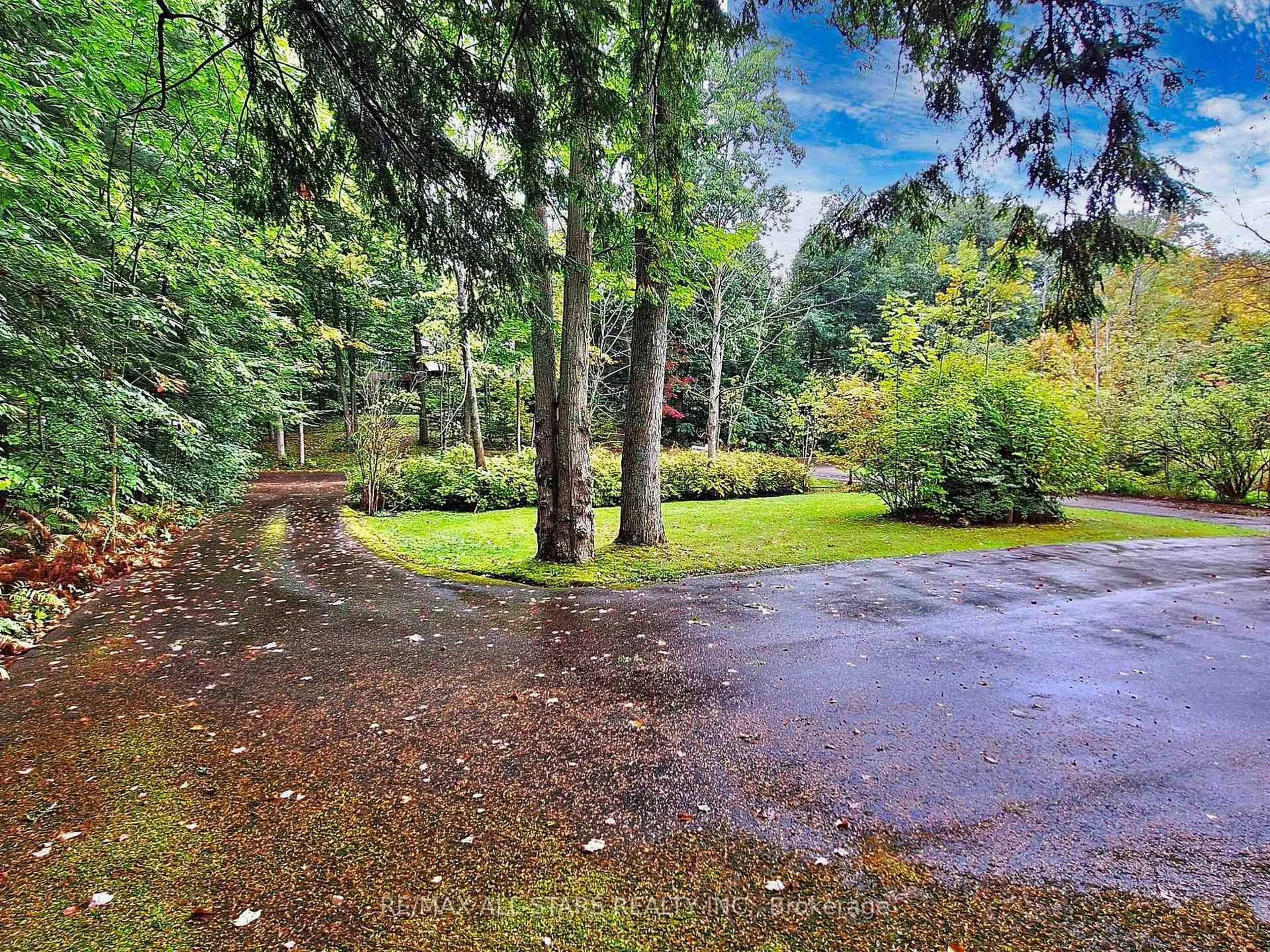 A pic from outside/outdoor area/front of a property/back of a property/a pic from drone, forest/trees view for 99 Sibbald Cres, Georgina Ontario L0E 1R0