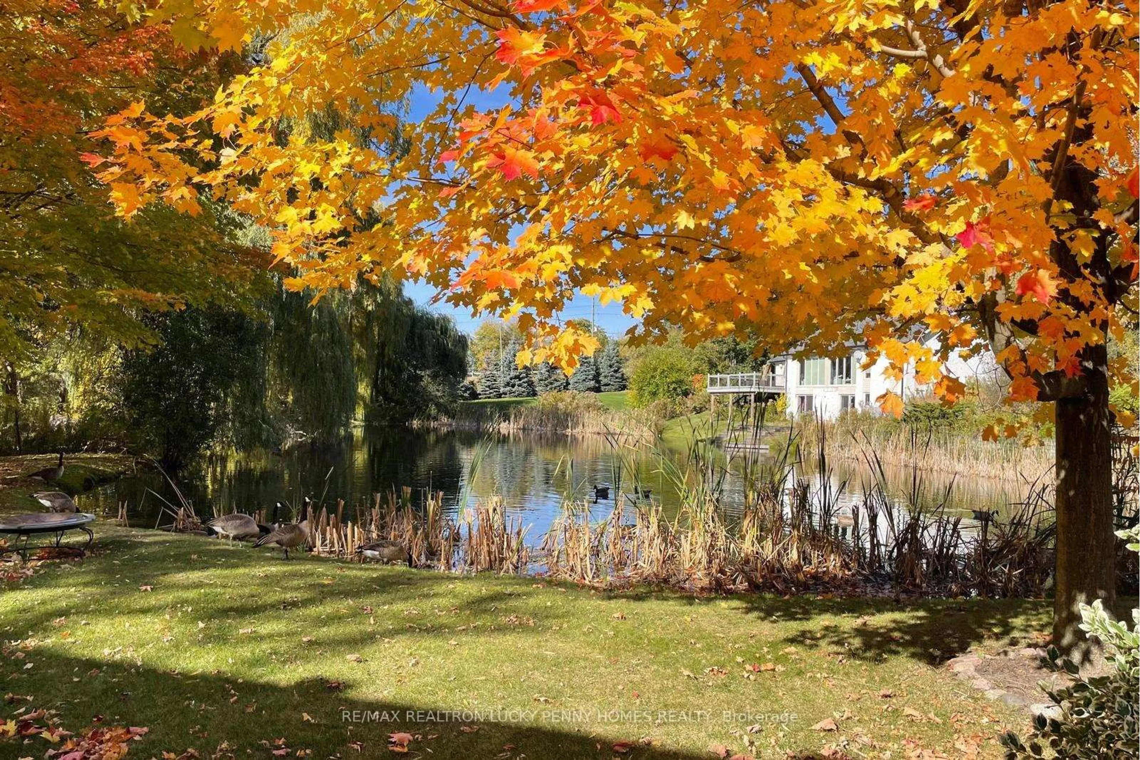Patio, water/lake/river/ocean view for 4 Blencathra Hill, Markham Ontario L6C 1G2