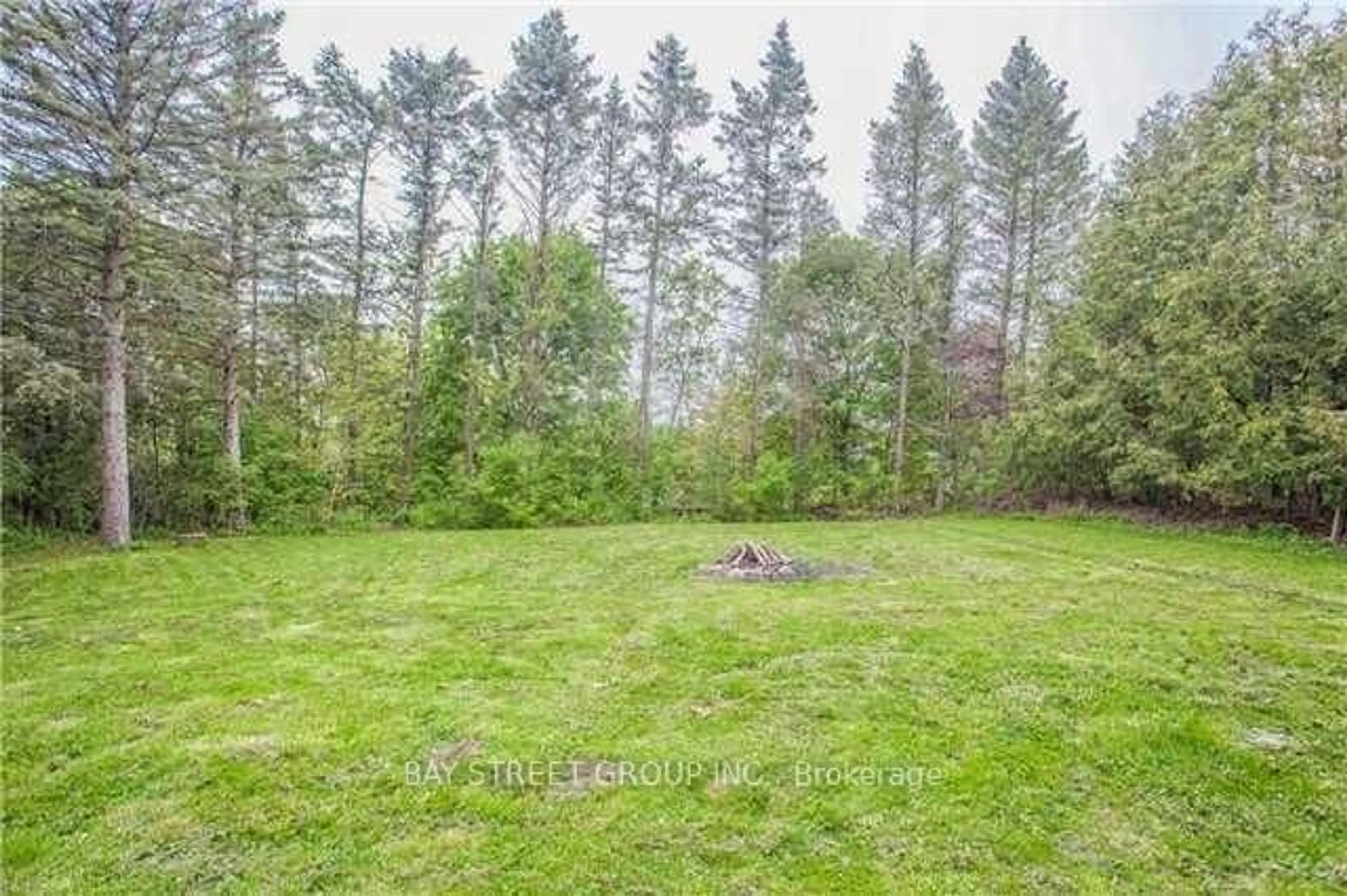 A pic from outside/outdoor area/front of a property/back of a property/a pic from drone, forest/trees view for 1011 Janette St, Newmarket Ontario L3Y 3C4