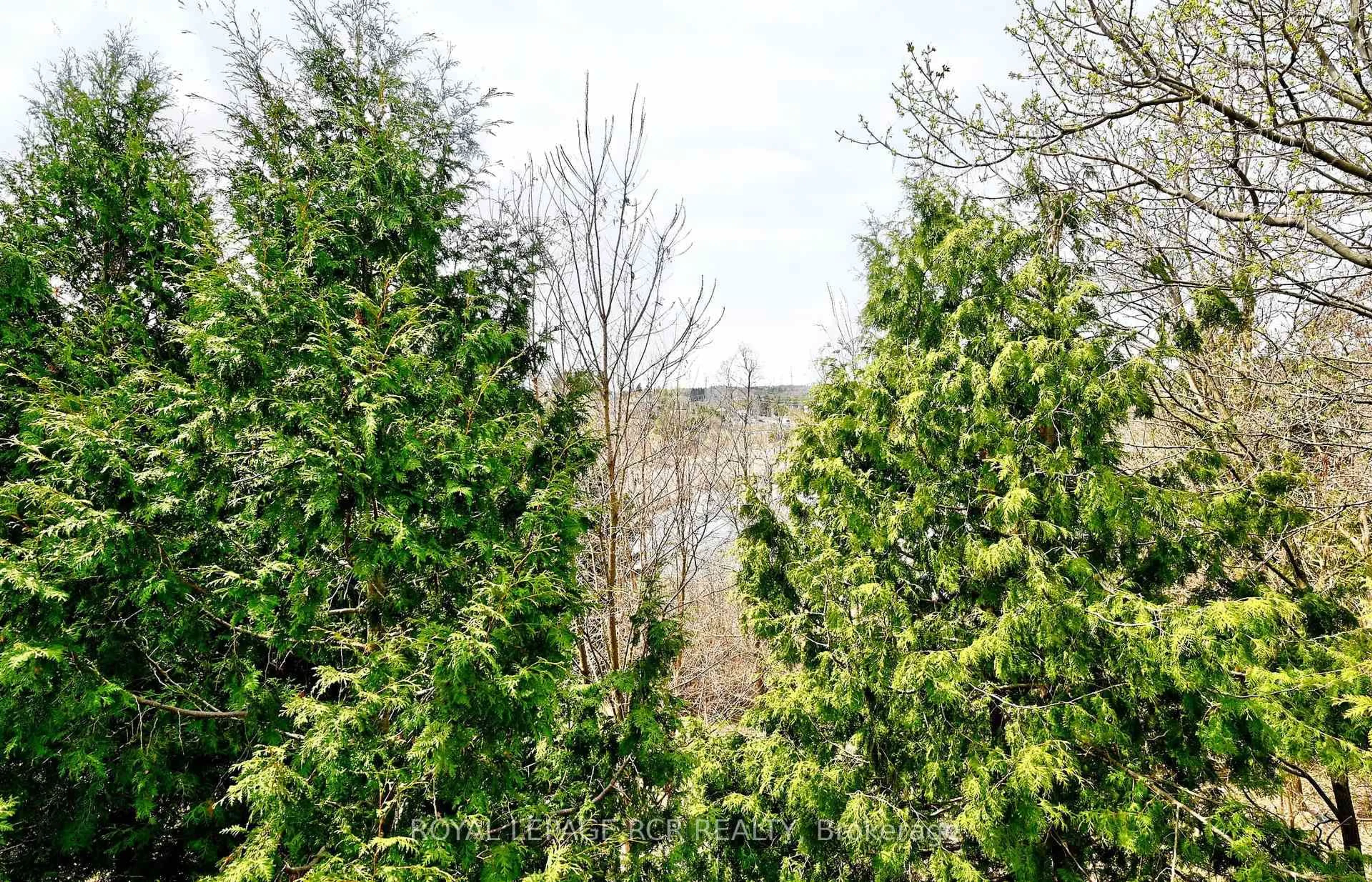 A pic from outside/outdoor area/front of a property/back of a property/a pic from drone, forest/trees view for 67 Attridge Dr, Aurora Ontario L4G 6J4