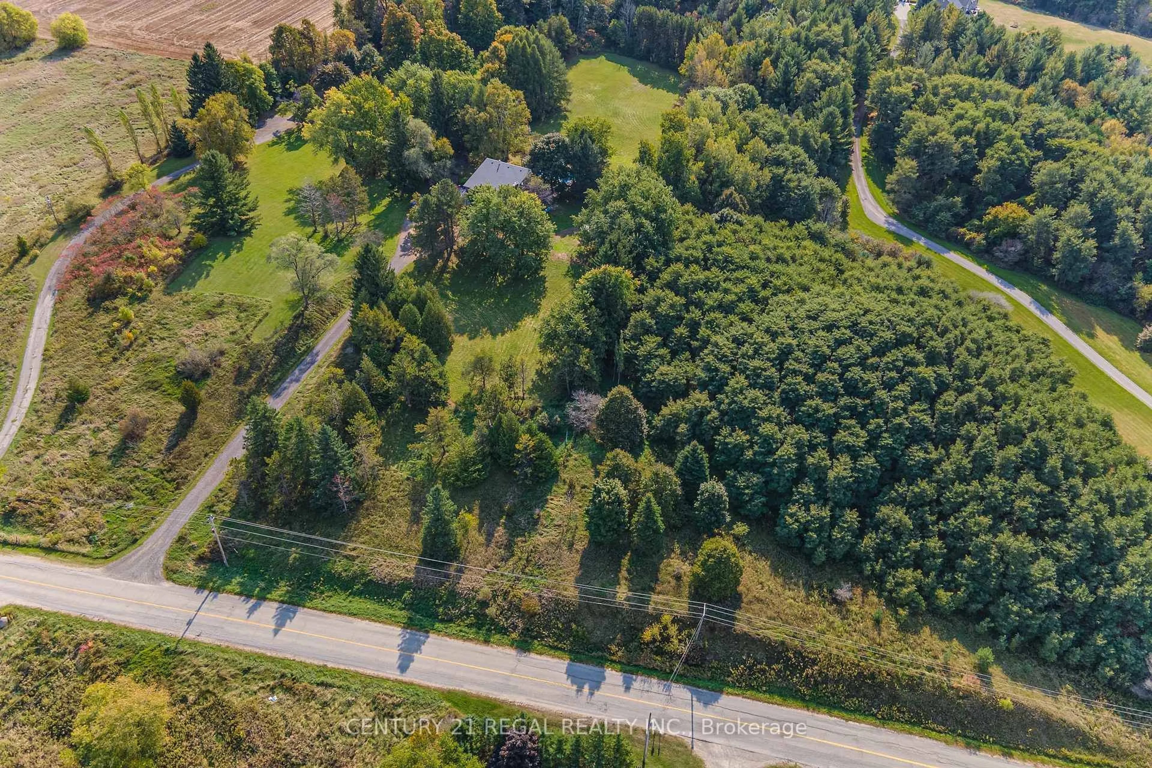 A pic from outside/outdoor area/front of a property/back of a property/a pic from drone, forest/trees view for 6171 7th Line, New Tecumseth Ontario L0G 1A0
