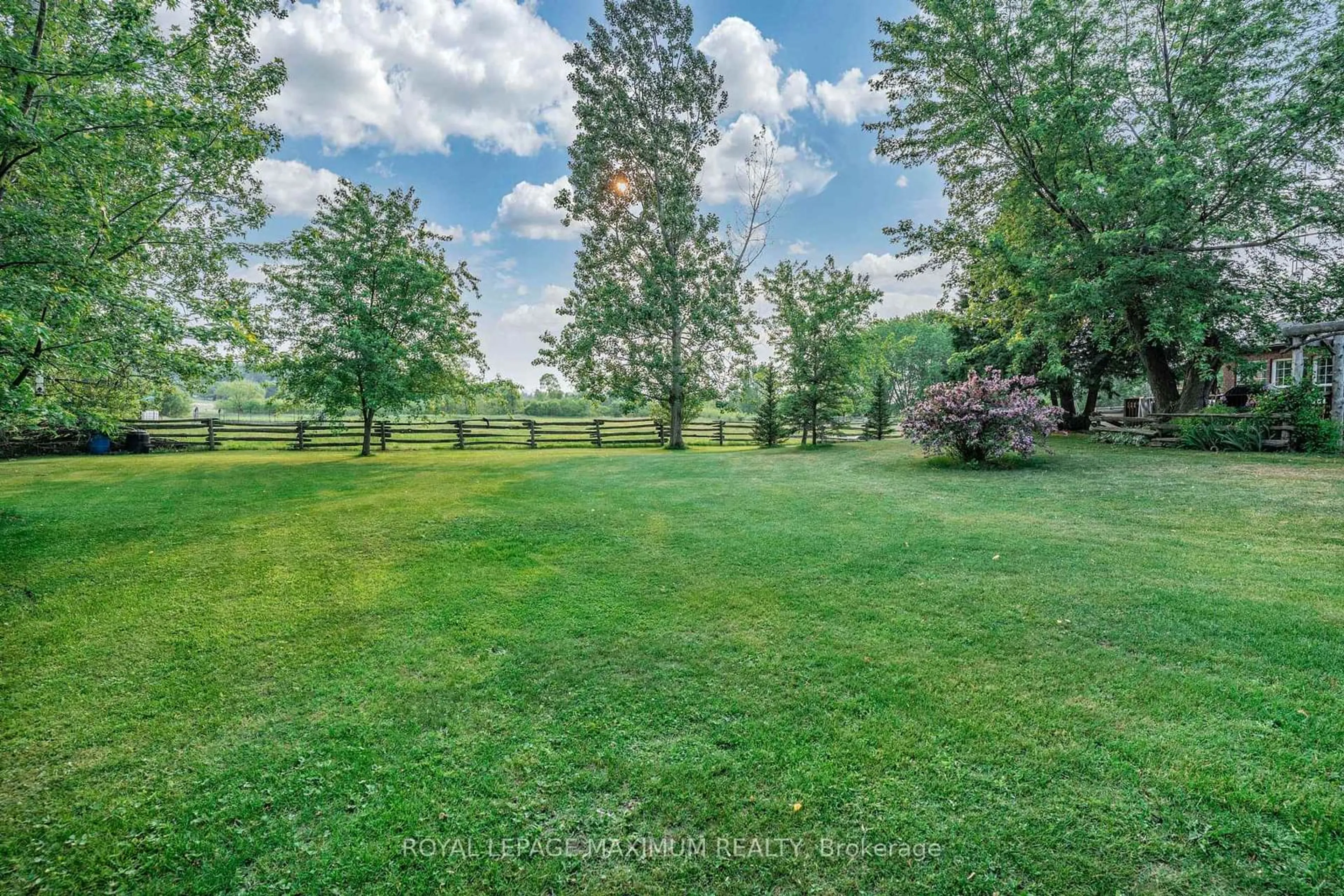 A pic from outside/outdoor area/front of a property/back of a property/a pic from drone, forest/trees view for 4372 Train St, New Tecumseth Ontario L9R 1V4