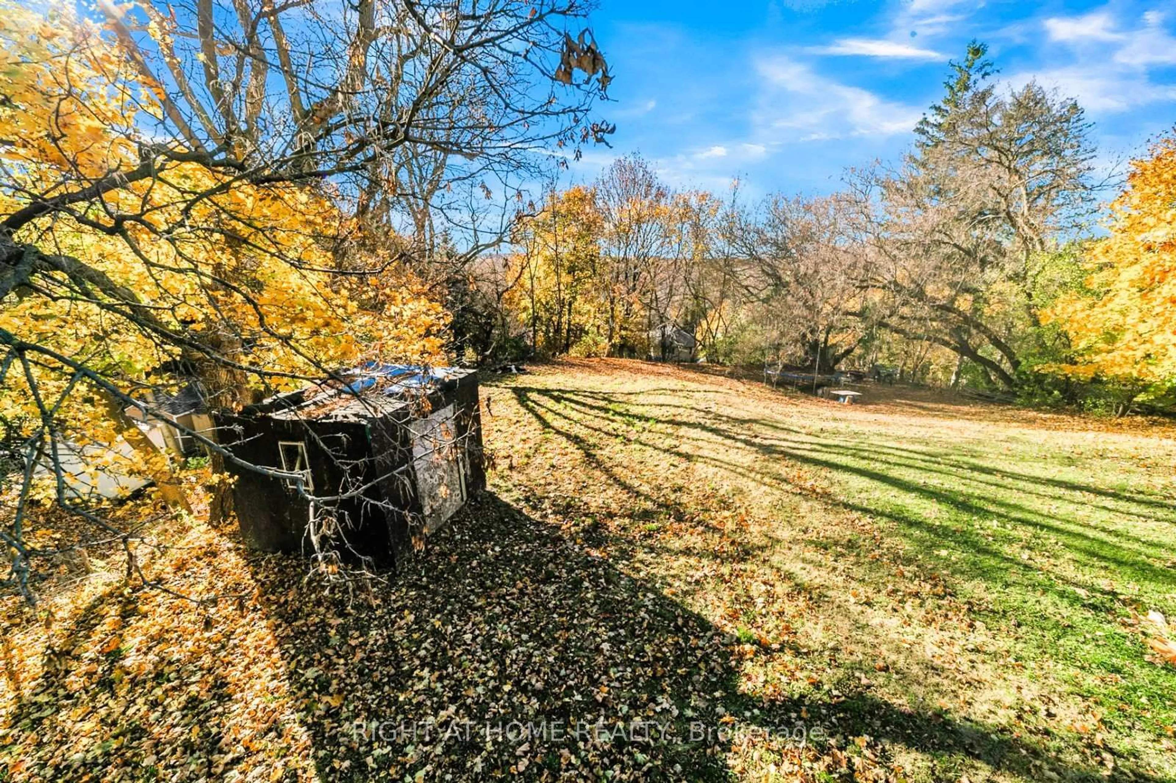 A pic from outside/outdoor area/front of a property/back of a property/a pic from drone, forest/trees view for 16958 Bayview Ave, Newmarket Ontario L3Y 6M5