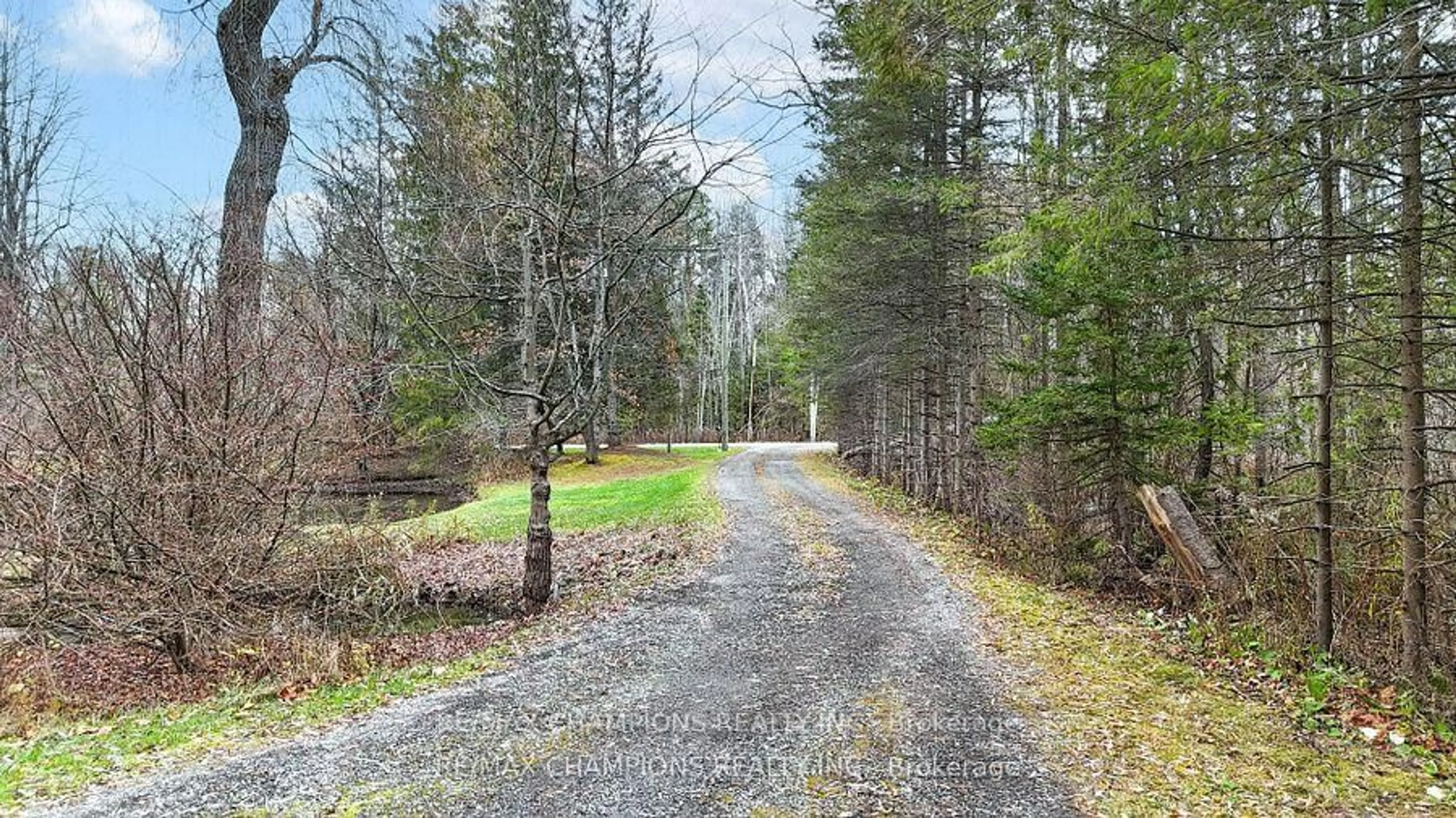 A pic from outside/outdoor area/front of a property/back of a property/a pic from drone, forest/trees view for 16548 7th Concession Rd, King Ontario L7B 0E4