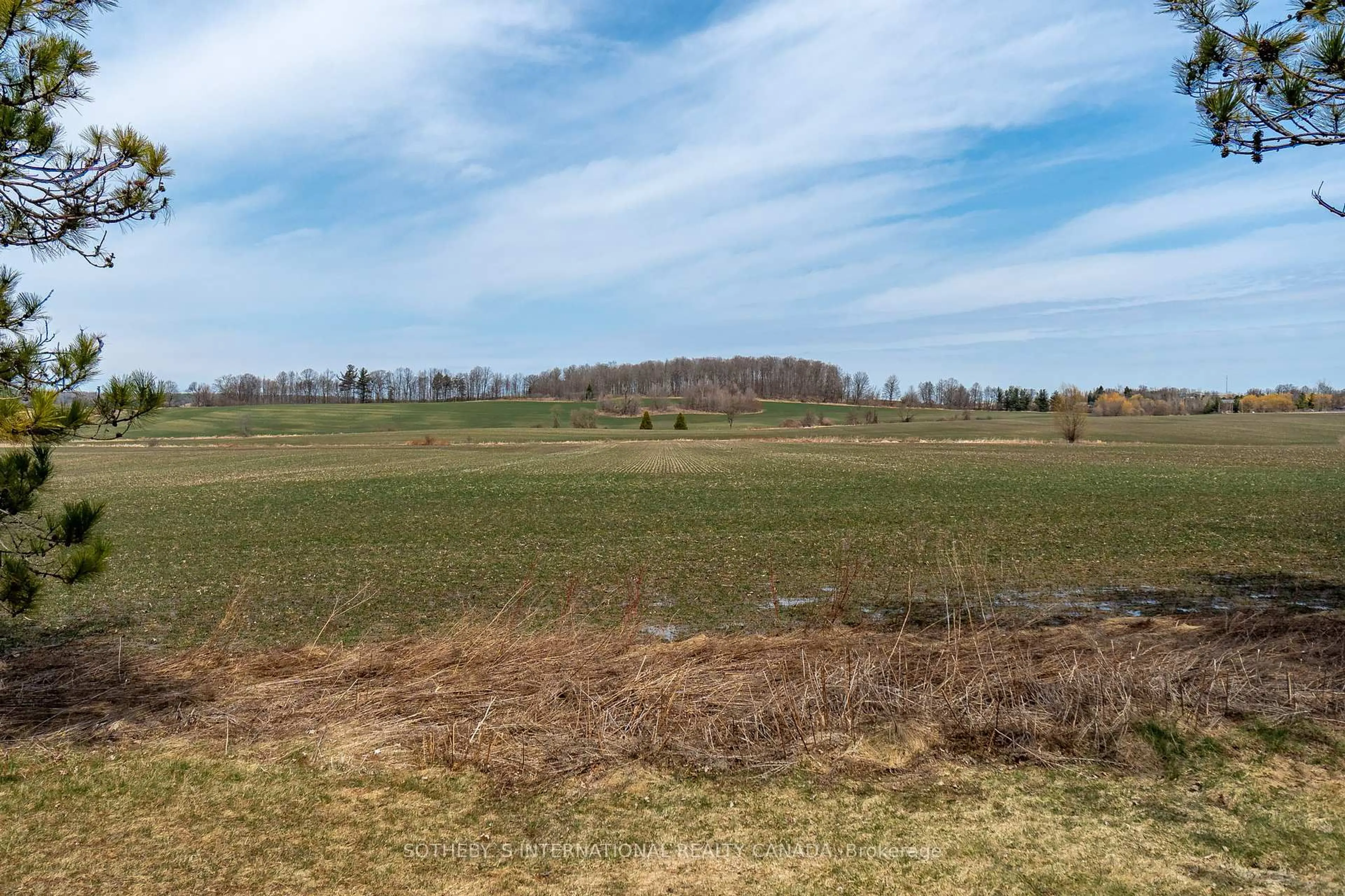 A pic from outside/outdoor area/front of a property/back of a property/a pic from drone, forest/trees view for 5512 3rd Line, New Tecumseth Ontario L0G 1W0