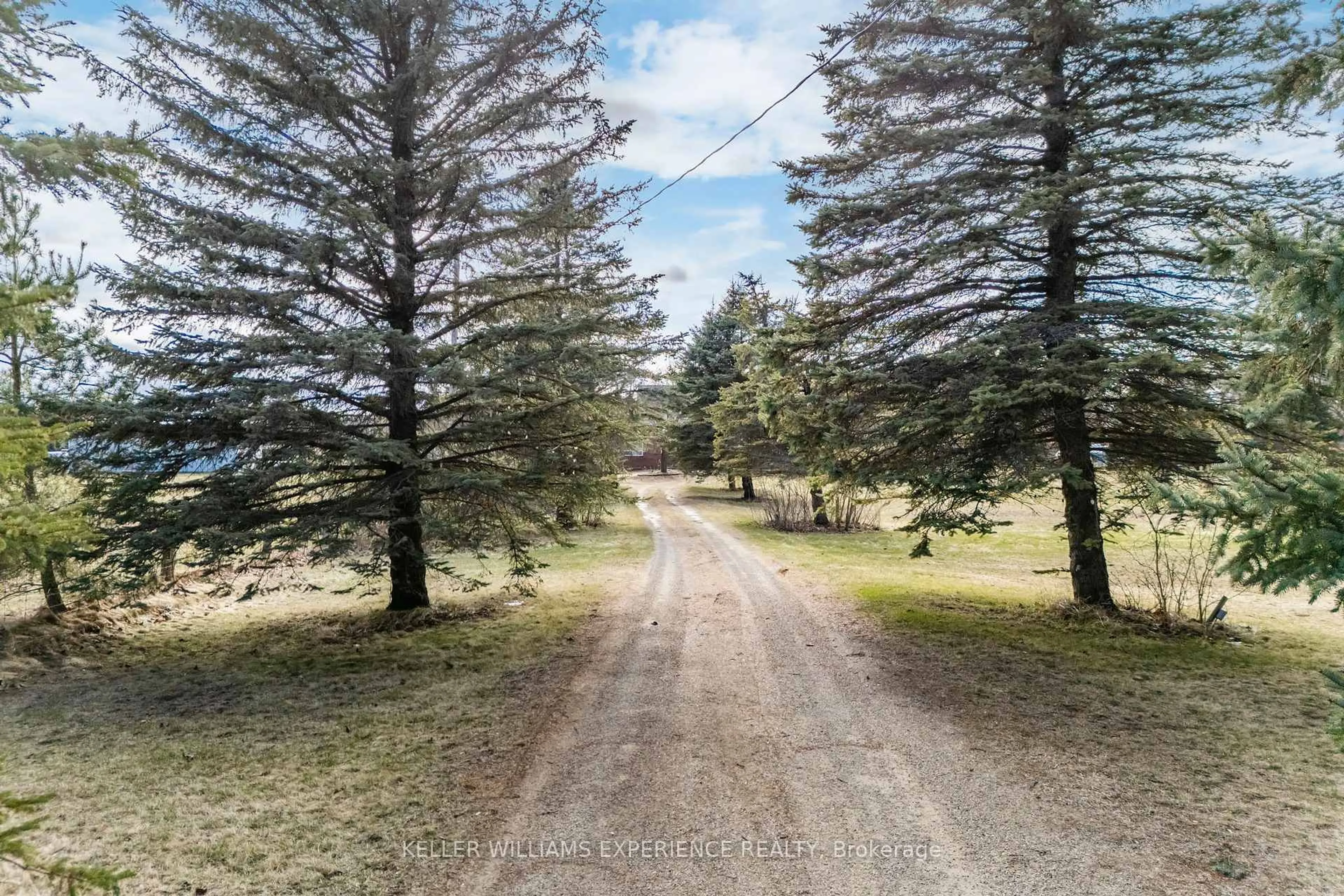 A pic from outside/outdoor area/front of a property/back of a property/a pic from drone, forest/trees view for 7078 County 56 Rd, Essa Ontario L0M 1T0