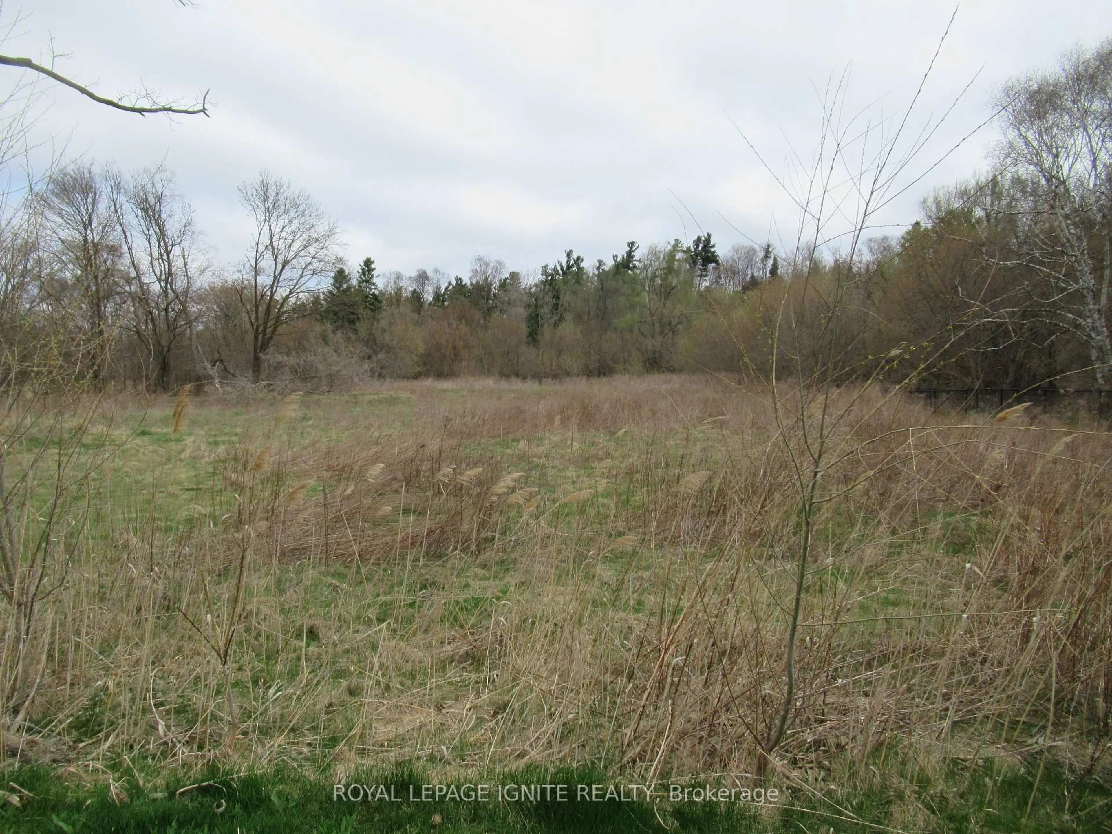 Blurry image for 196 Pine Grove Rd #13, Vaughan Ontario L4L 0H8