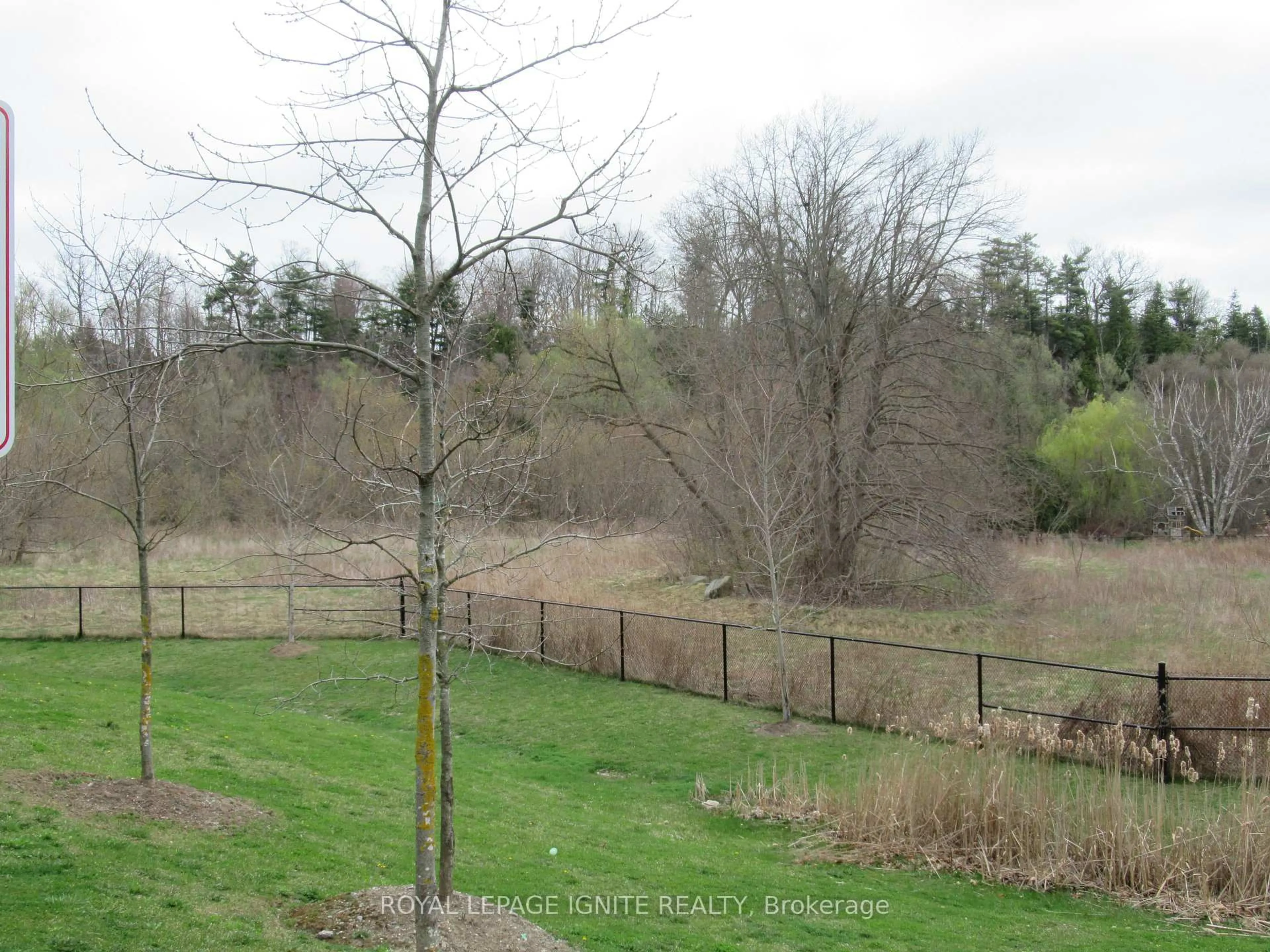 A pic from outside/outdoor area/front of a property/back of a property/a pic from drone, forest/trees view for 196 Pine Grove Rd #13, Vaughan Ontario L4L 0H8