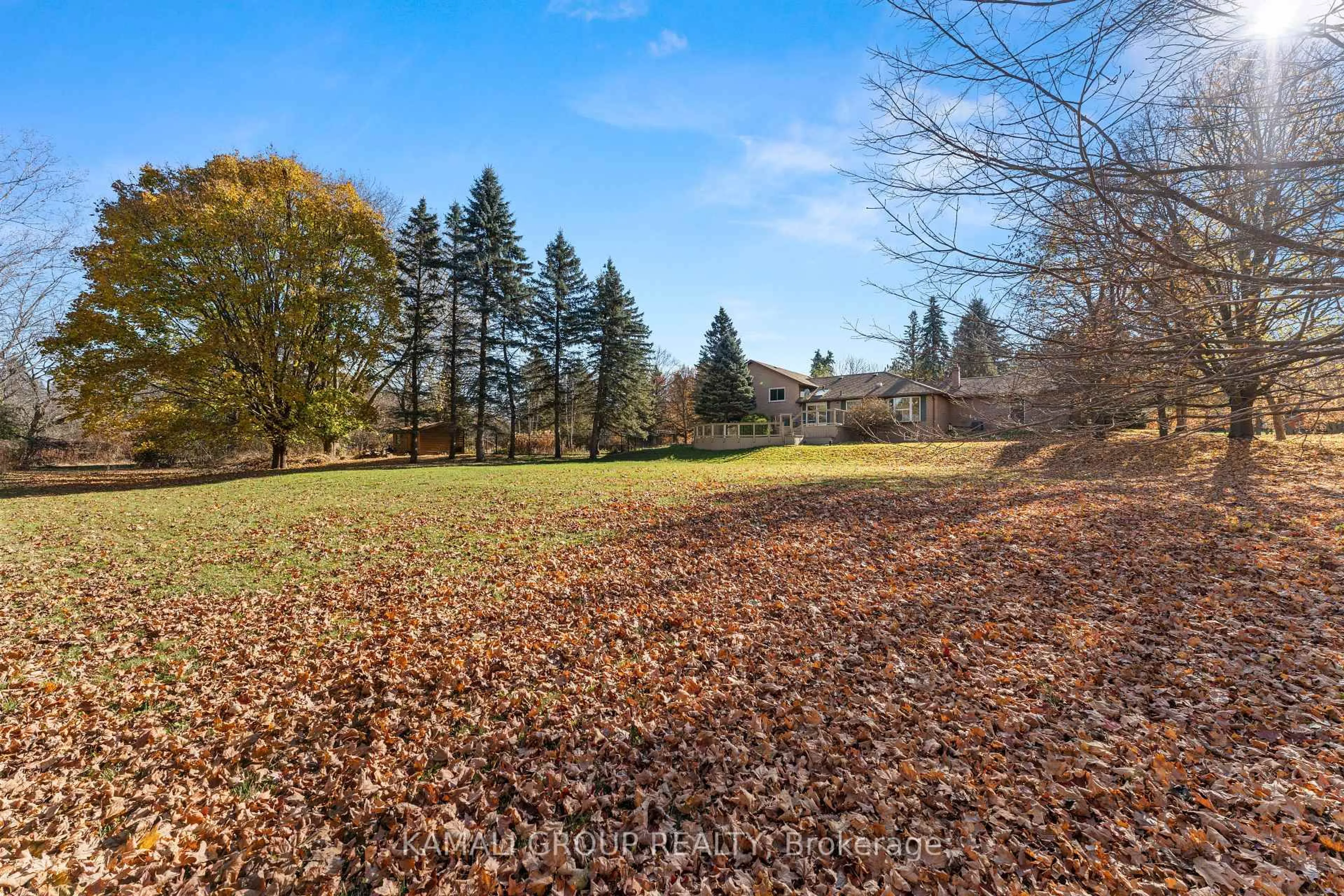 A pic from outside/outdoor area/front of a property/back of a property/a pic from drone, forest/trees view for 1182 Kingdale Rd, Newmarket Ontario L3Y 4W1