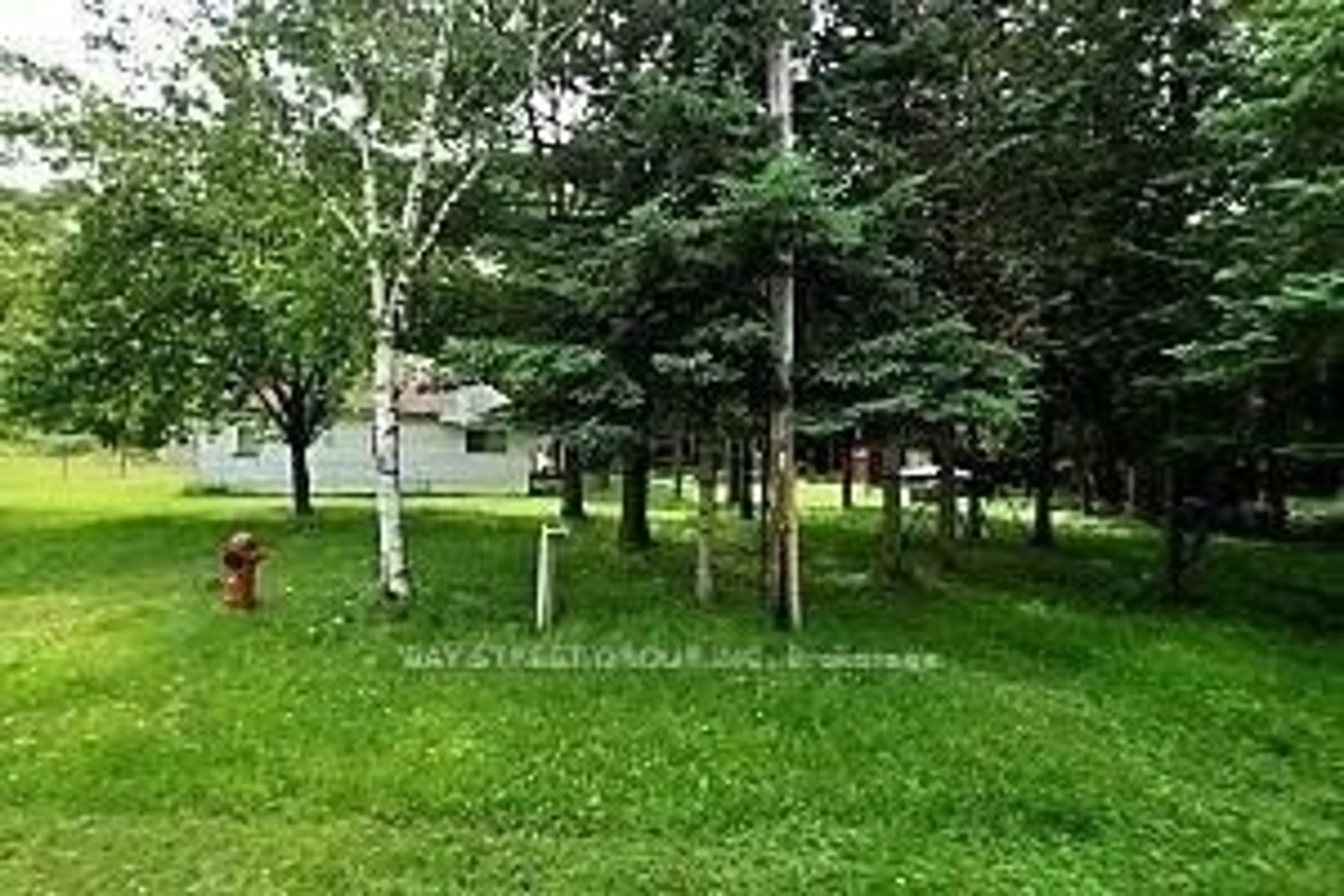 Patio, forest/trees view for 8 Christidis Dr, Georgina Ontario L0E 1L0
