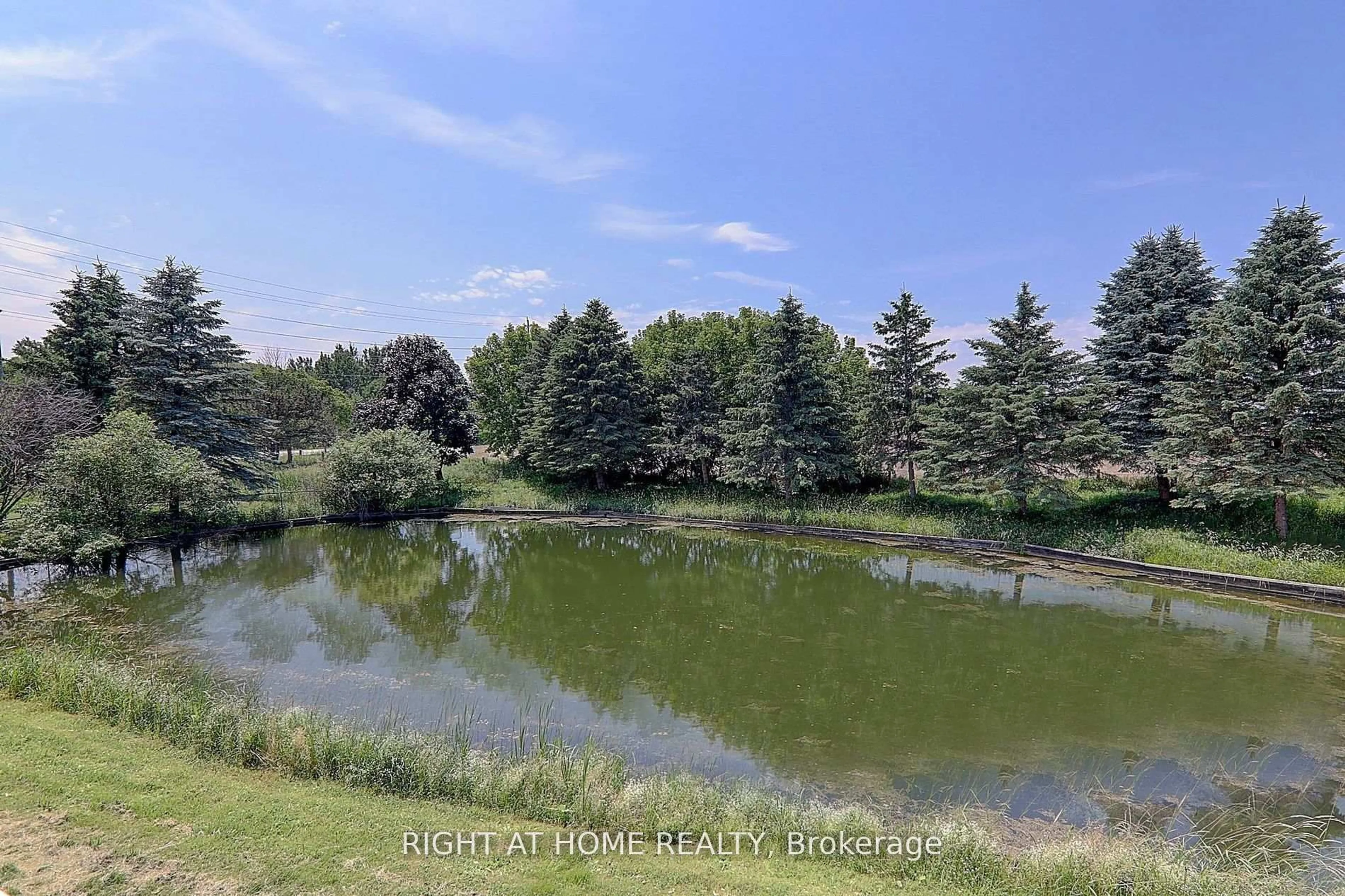 Unknown for 1008 Mount Albert Rd, East Gwillimbury Ontario L0G 1V0