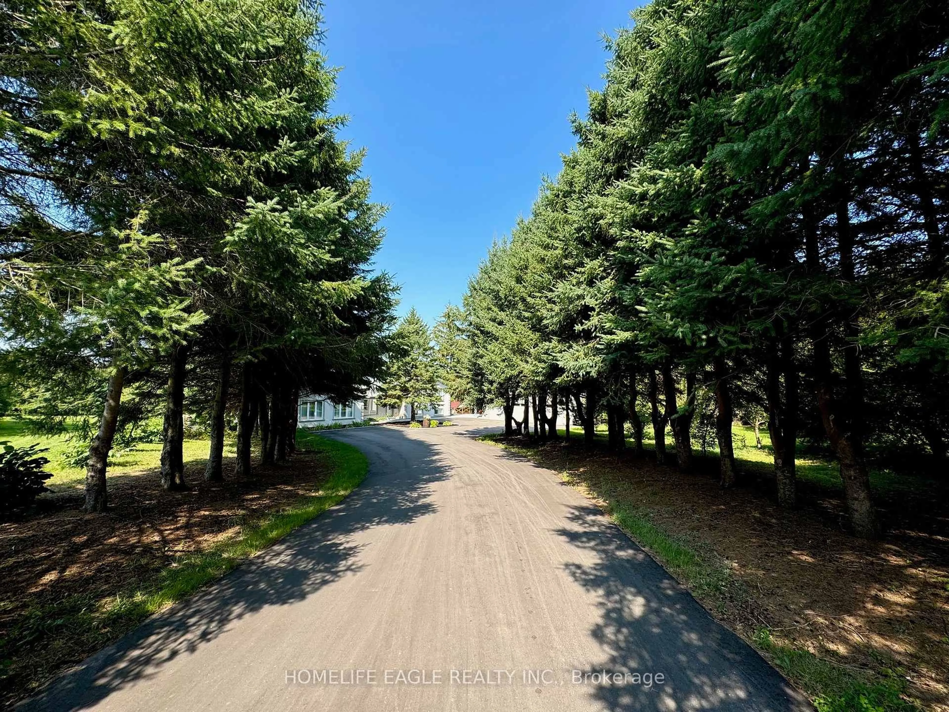 A pic from outside/outdoor area/front of a property/back of a property/a pic from drone, forest/trees view for 18662 Highway 48 N/A, East Gwillimbury Ontario L0G 1M0
