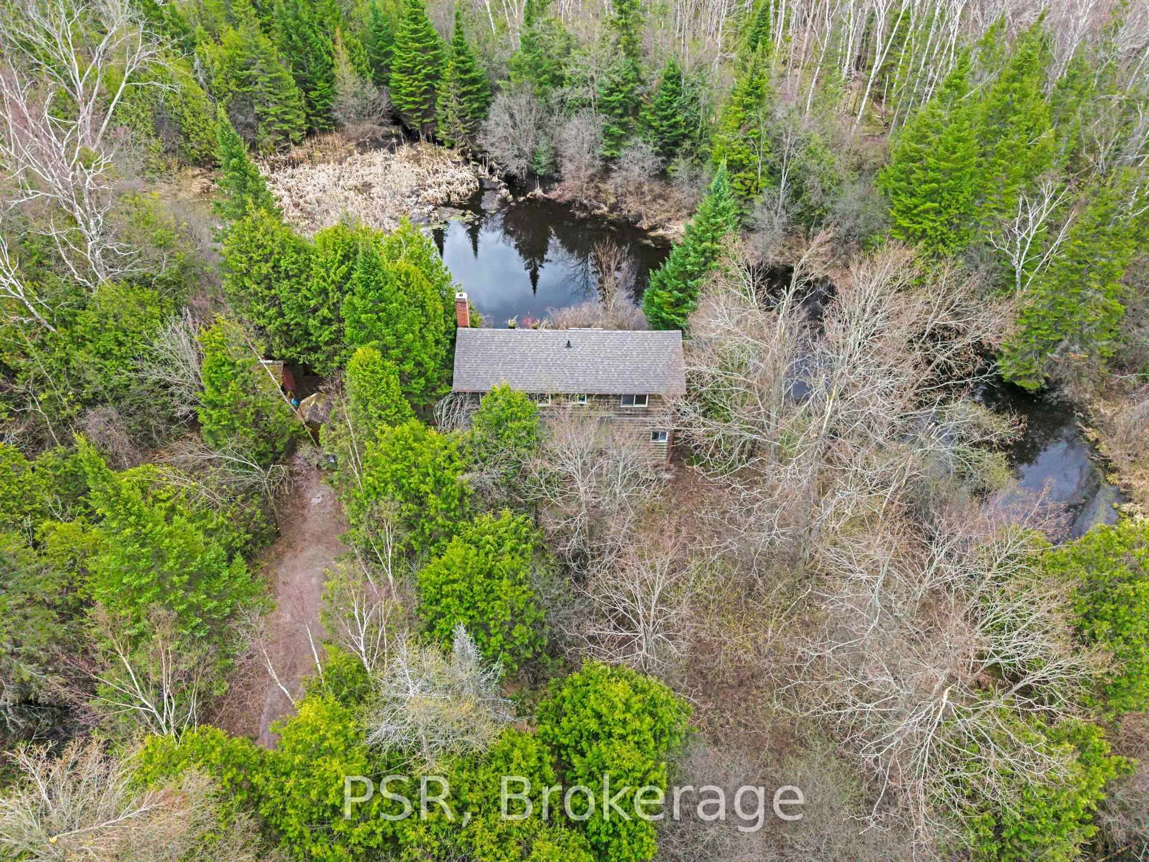 A pic from outside/outdoor area/front of a property/back of a property/a pic from drone, forest/trees view for 461 Ravenshoe Rd, Uxbridge Ontario L9P 1R2