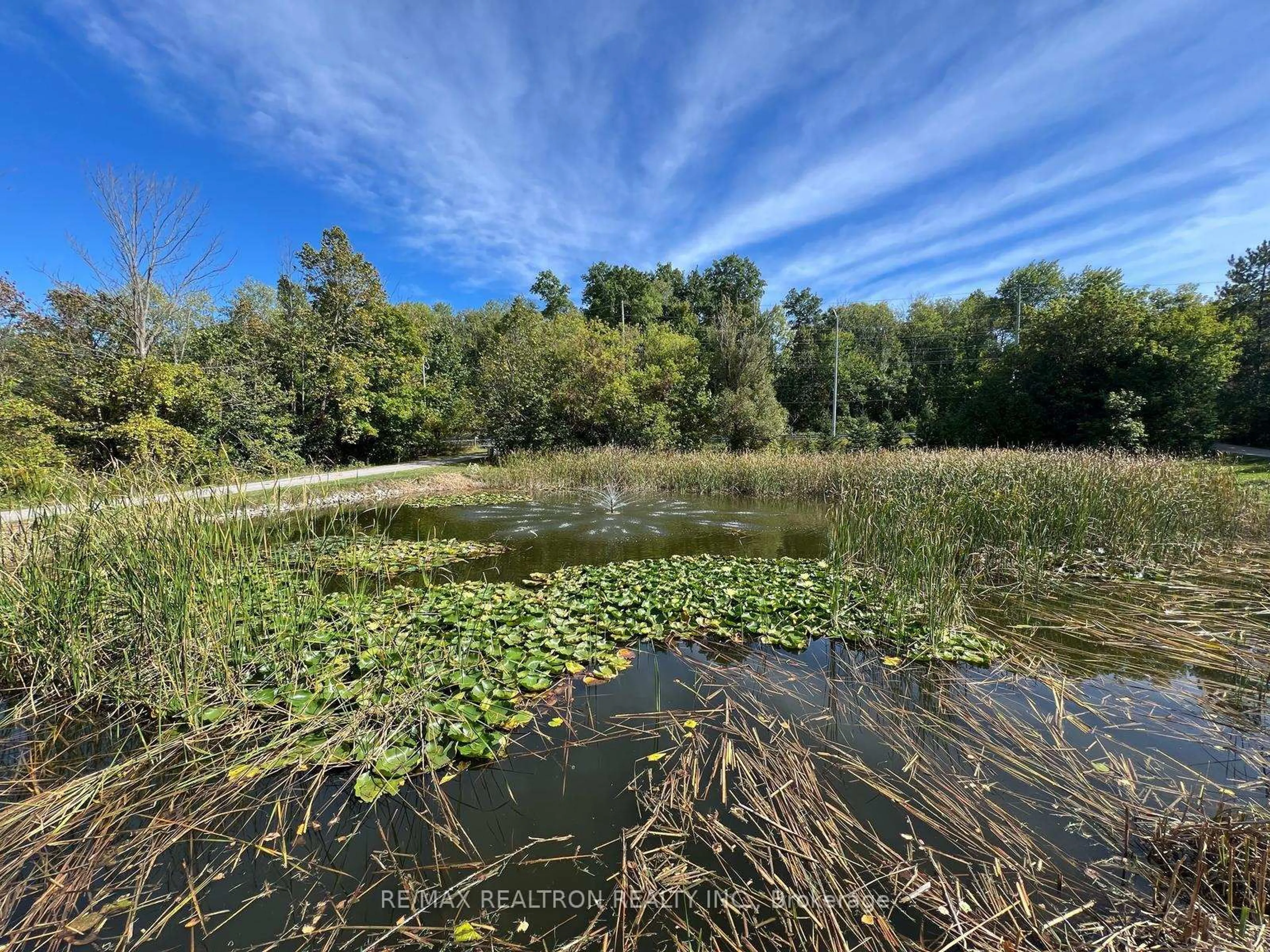 Blurry image for 20034 Second Concession Rd, East Gwillimbury Ontario L9N 1P5