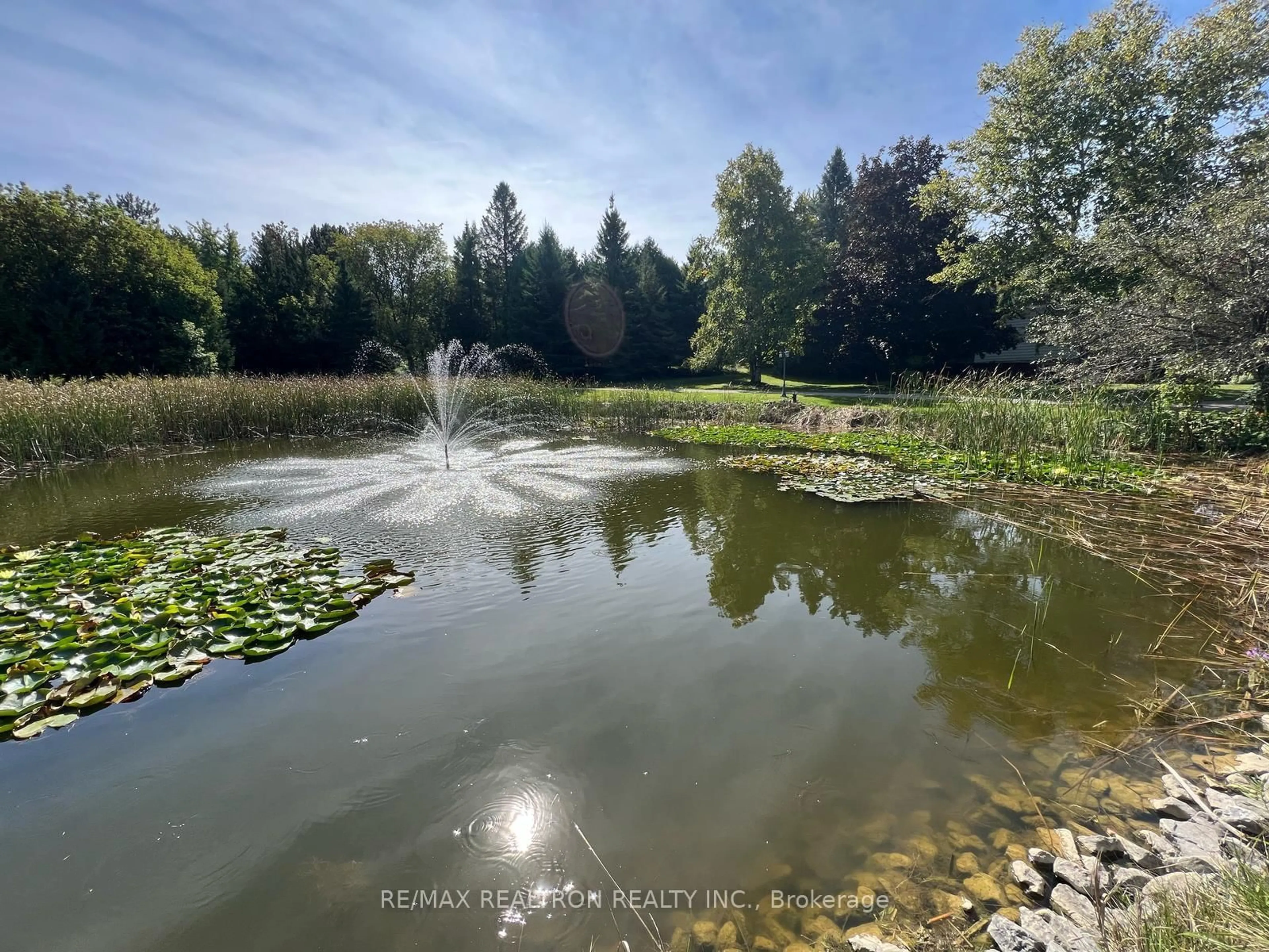 Blurry image for 20034 Second Concession Rd, East Gwillimbury Ontario L9N 1P5