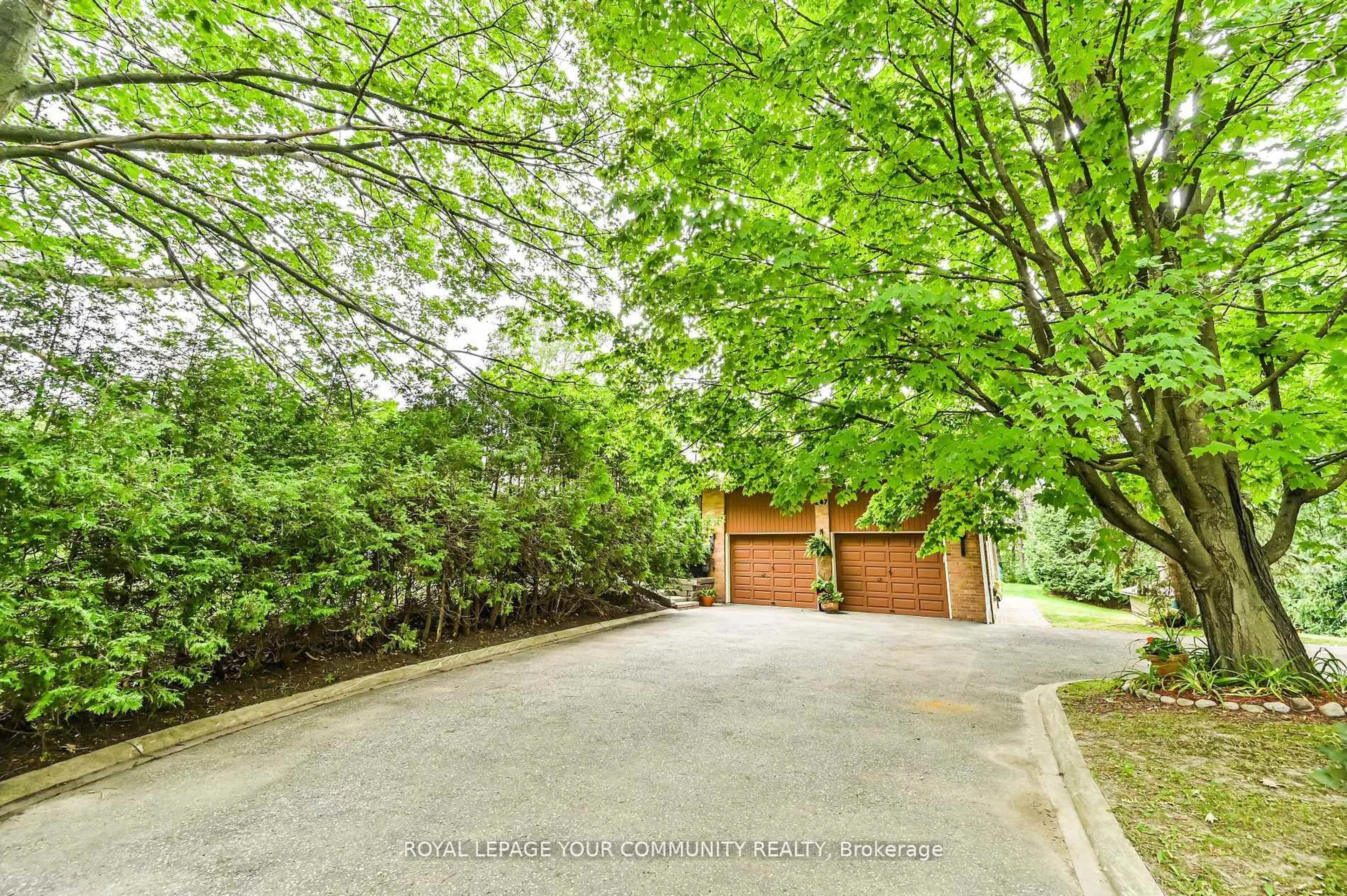 A pic from outside/outdoor area/front of a property/back of a property/a pic from drone, forest/trees view for 247 Harris Ave, Richmond Hill Ontario L4E 3M3
