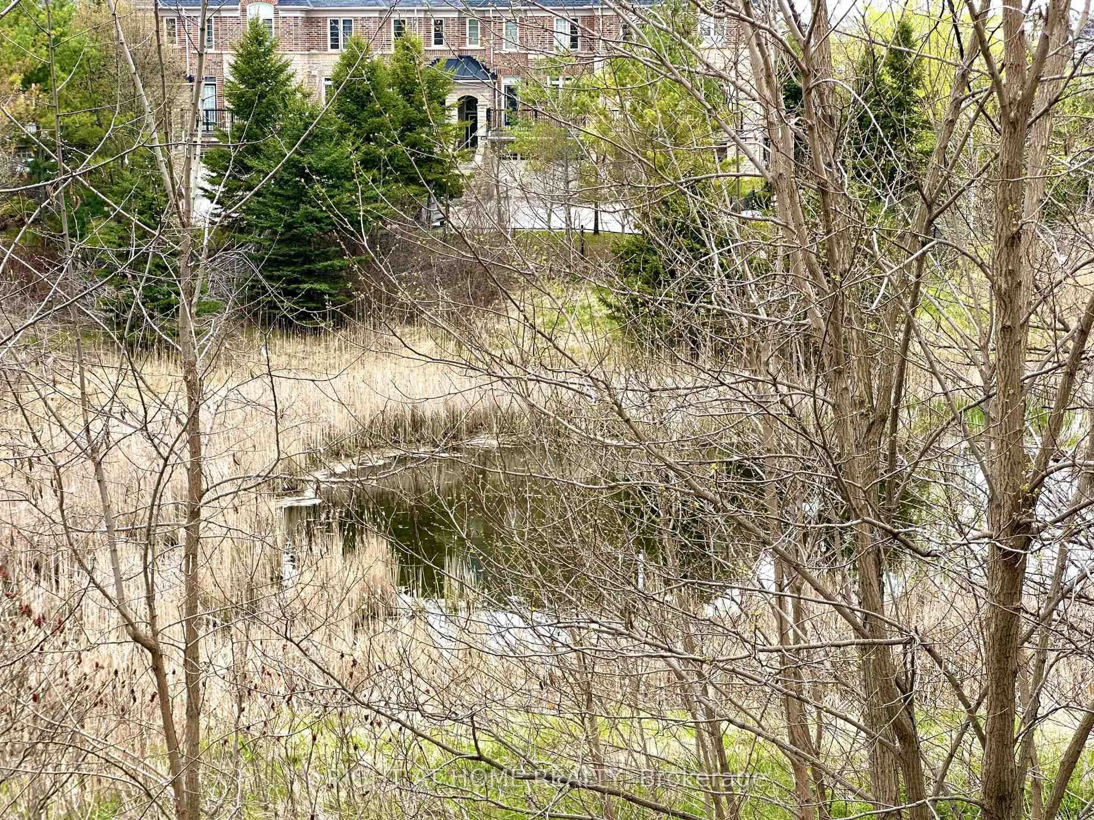 A pic from outside/outdoor area/front of a property/back of a property/a pic from drone, forest/trees view for 32 Millcliff Circ, Aurora Ontario L4G 7N7