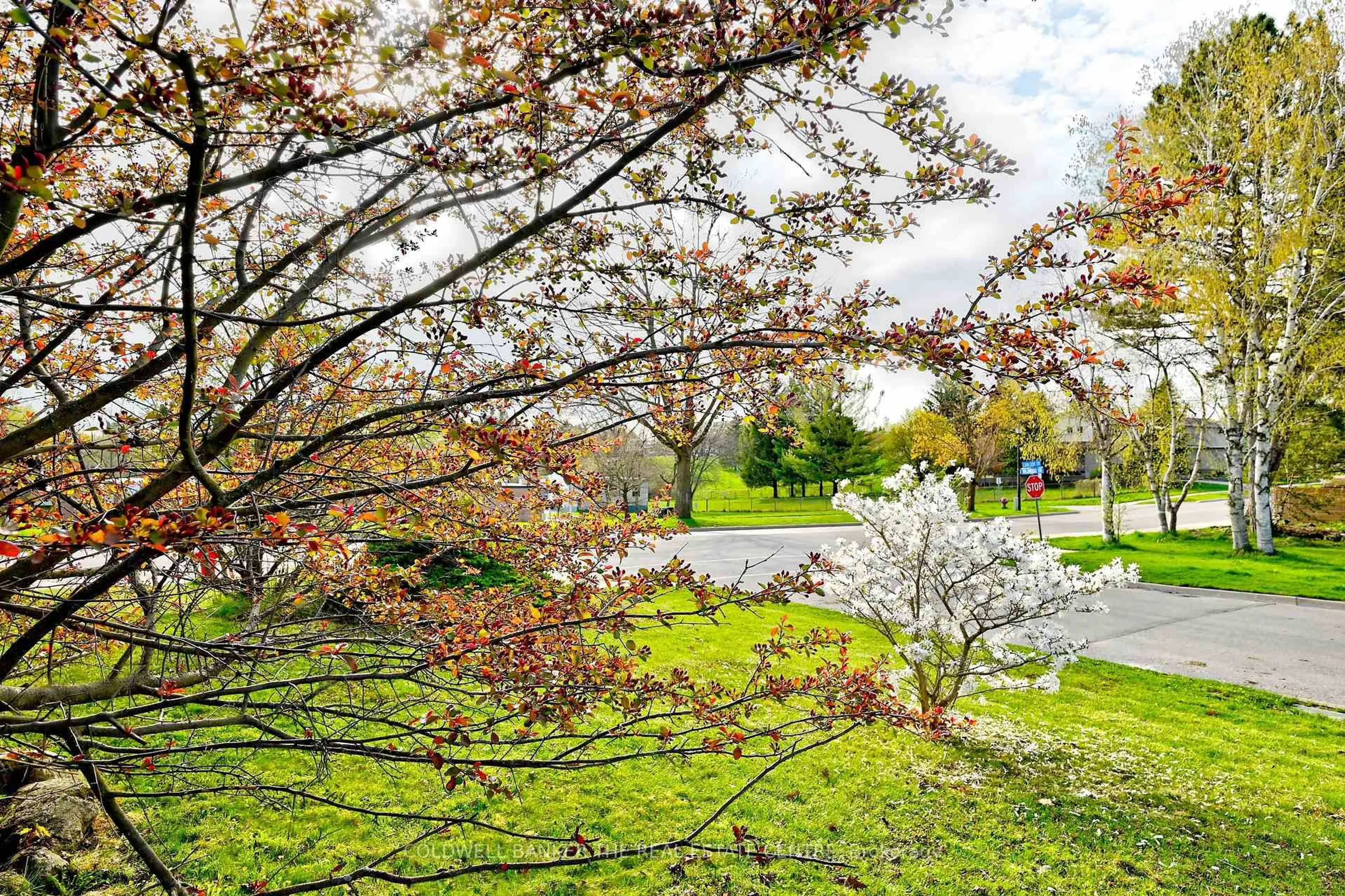 Unknown for 940 Wildwood Dr, Newmarket Ontario L3Y 2B5
