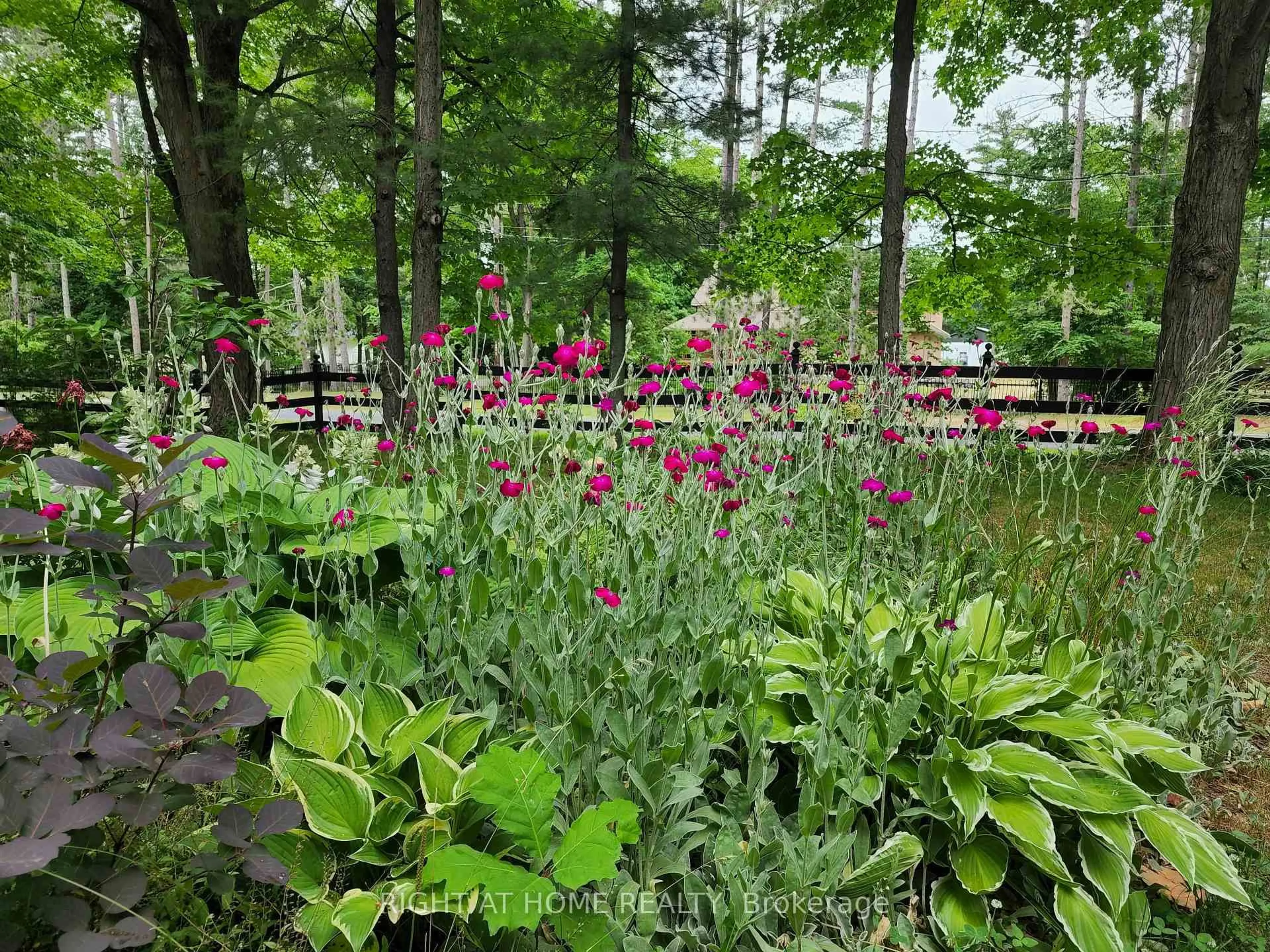 Patio, forest/trees view for 4753 Cherry St, Whitchurch-Stouffville Ontario L4A 7X4