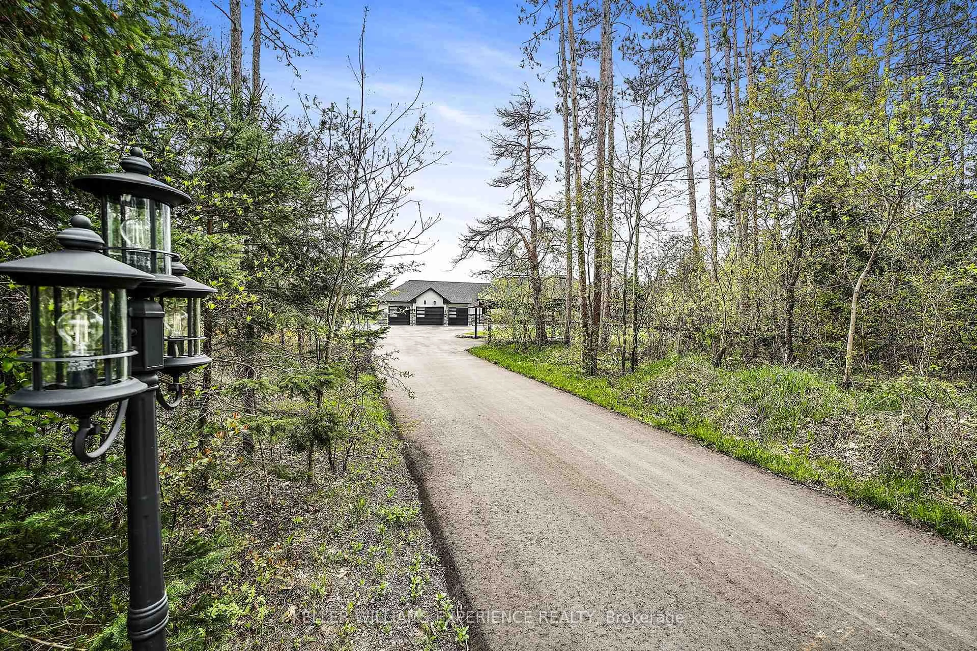 A pic from outside/outdoor area/front of a property/back of a property/a pic from drone, forest/trees view for 7028 Pine Plains Rd, Adjala-Tosorontio Ontario L0M 1J0