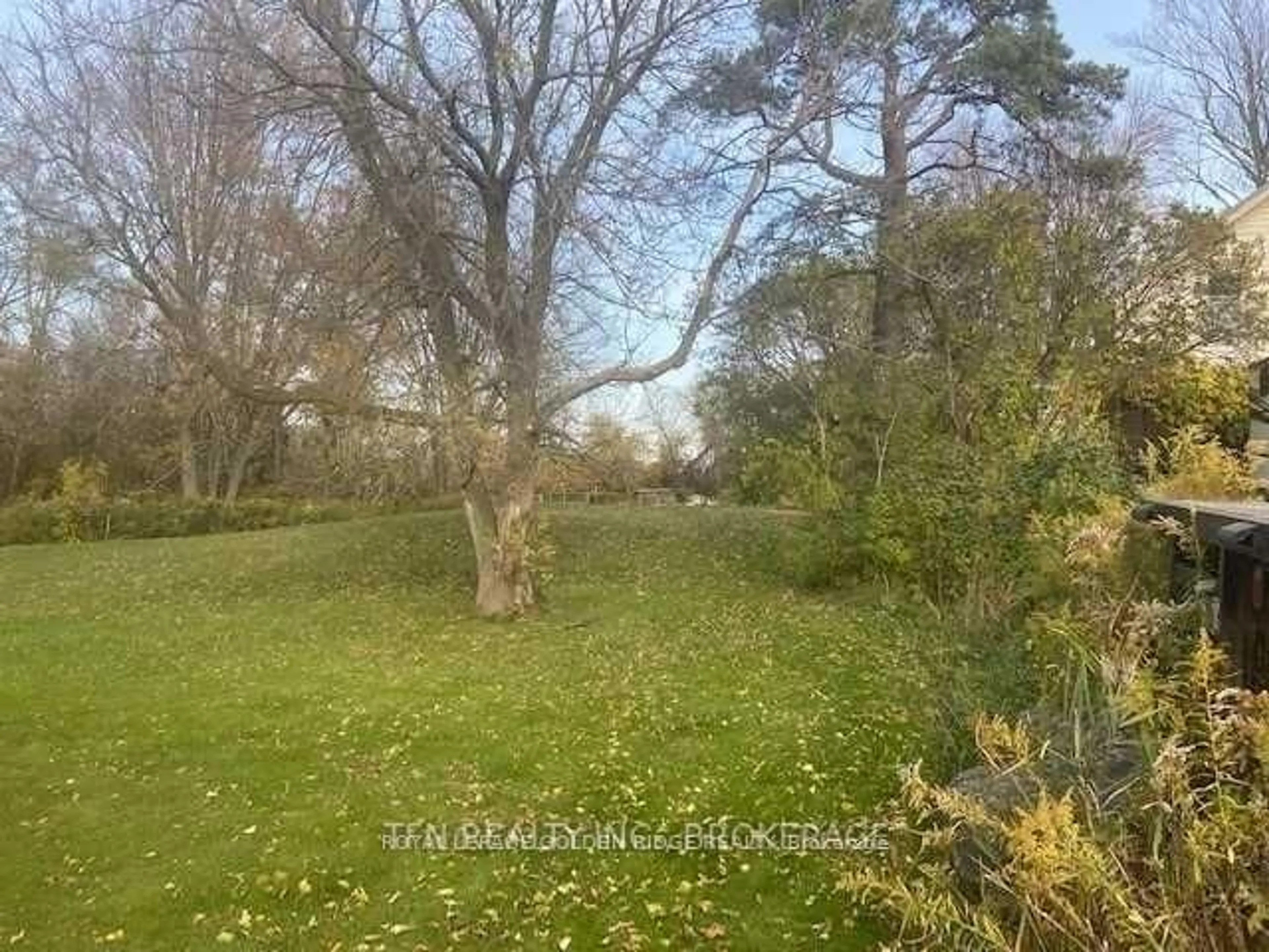 A pic from outside/outdoor area/front of a property/back of a property/a pic from drone, forest/trees view for 1773 20th Sdrd, Innisfil Ontario L9S 4H8