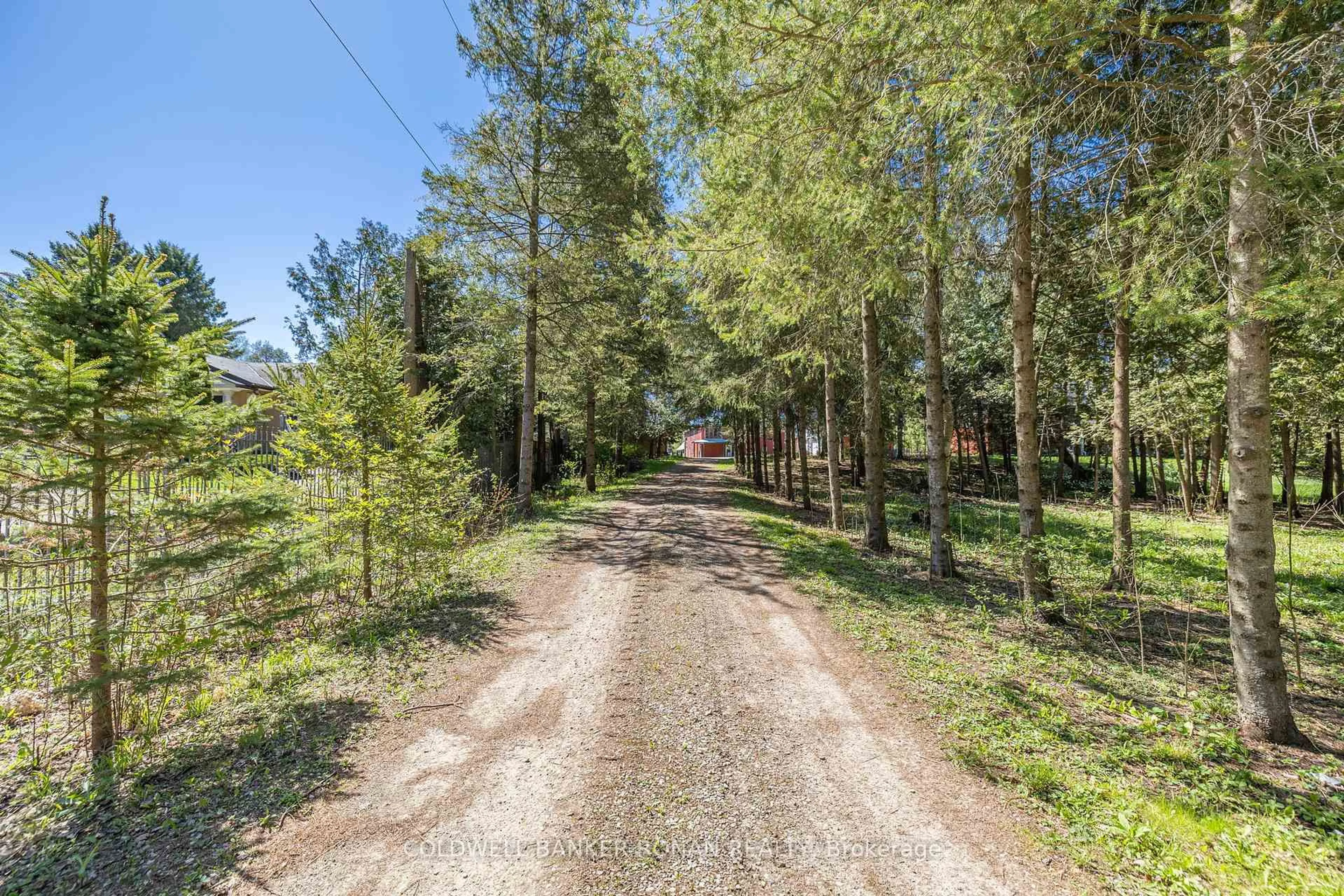 A pic from outside/outdoor area/front of a property/back of a property/a pic from drone, forest/trees view for 7171 9th Line, New Tecumseth Ontario L0G 1A0