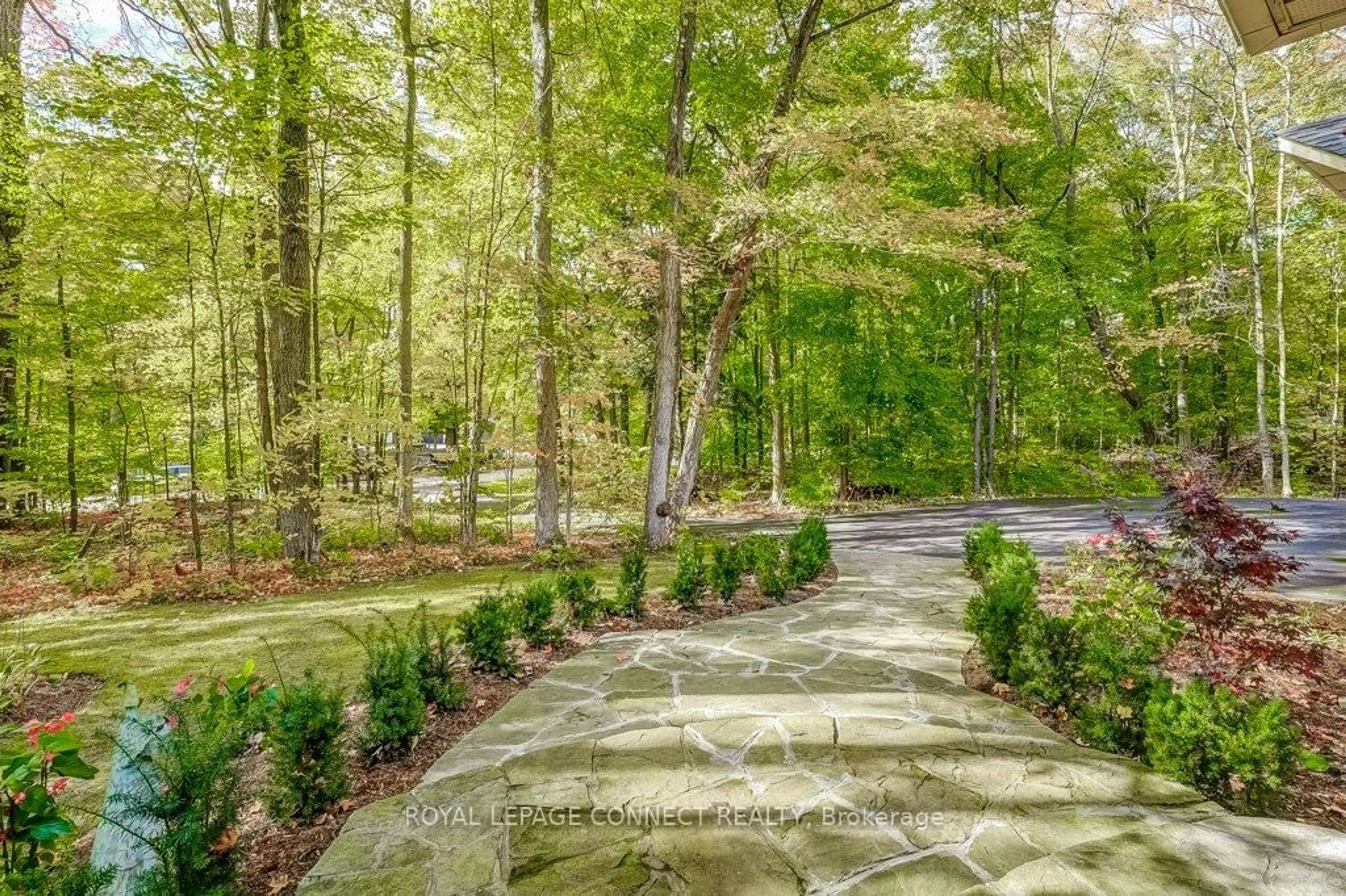 Patio, forest/trees view for 5 Forest Tr, Whitchurch-Stouffville Ontario L4A 2E6