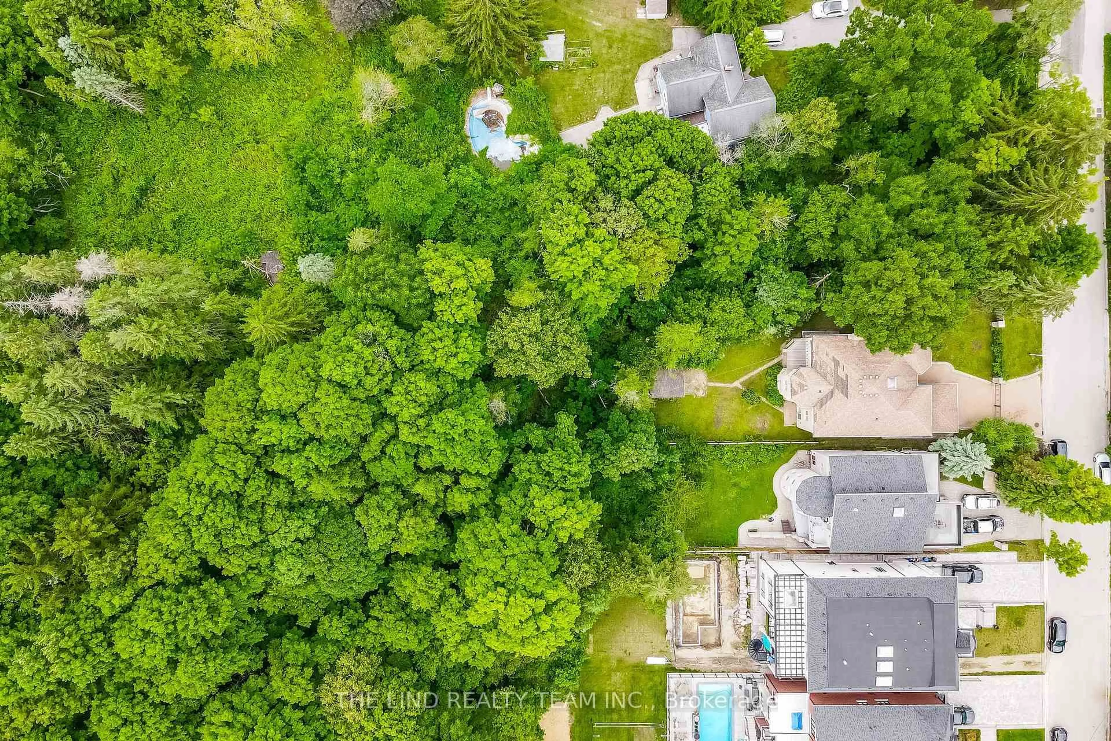 A pic from outside/outdoor area/front of a property/back of a property/a pic from drone, forest/trees view for 99 Birch Ave, Richmond Hill Ontario L4C 6C5