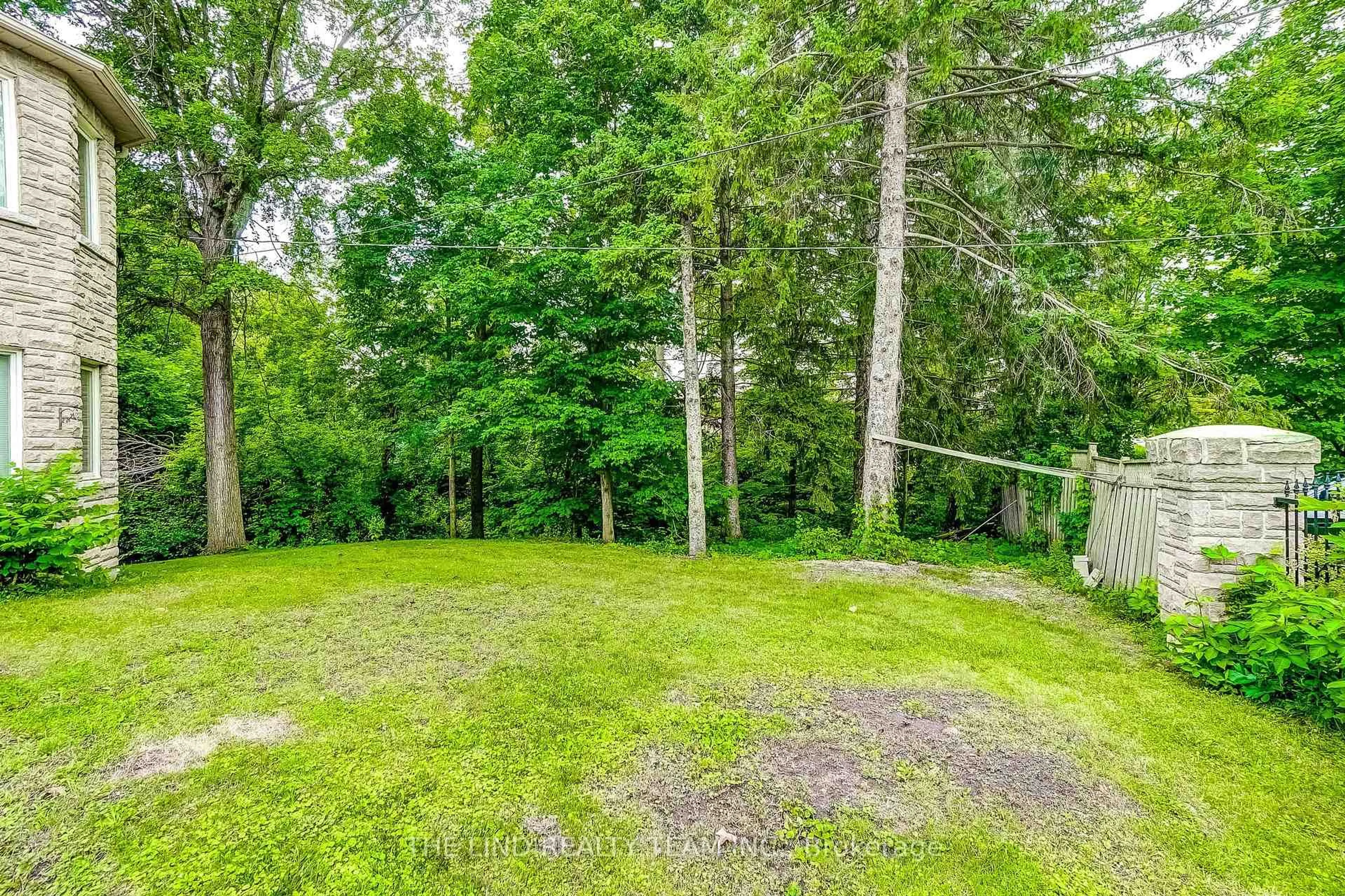 A pic from outside/outdoor area/front of a property/back of a property/a pic from drone, forest/trees view for 99 Birch Ave, Richmond Hill Ontario L4C 6C5